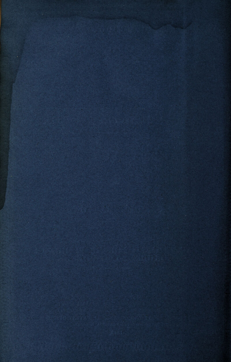 •vcr - -. ^ * -.;• h-y^v- •? ' • ’' ■<•• •■■<- '; - 9zi*M£ /. ■ < ■'>•. .■' «•’. • r'O ; > • jr* --. • - ^ ■■■ y ••'- au : y; >v>,| r.-.