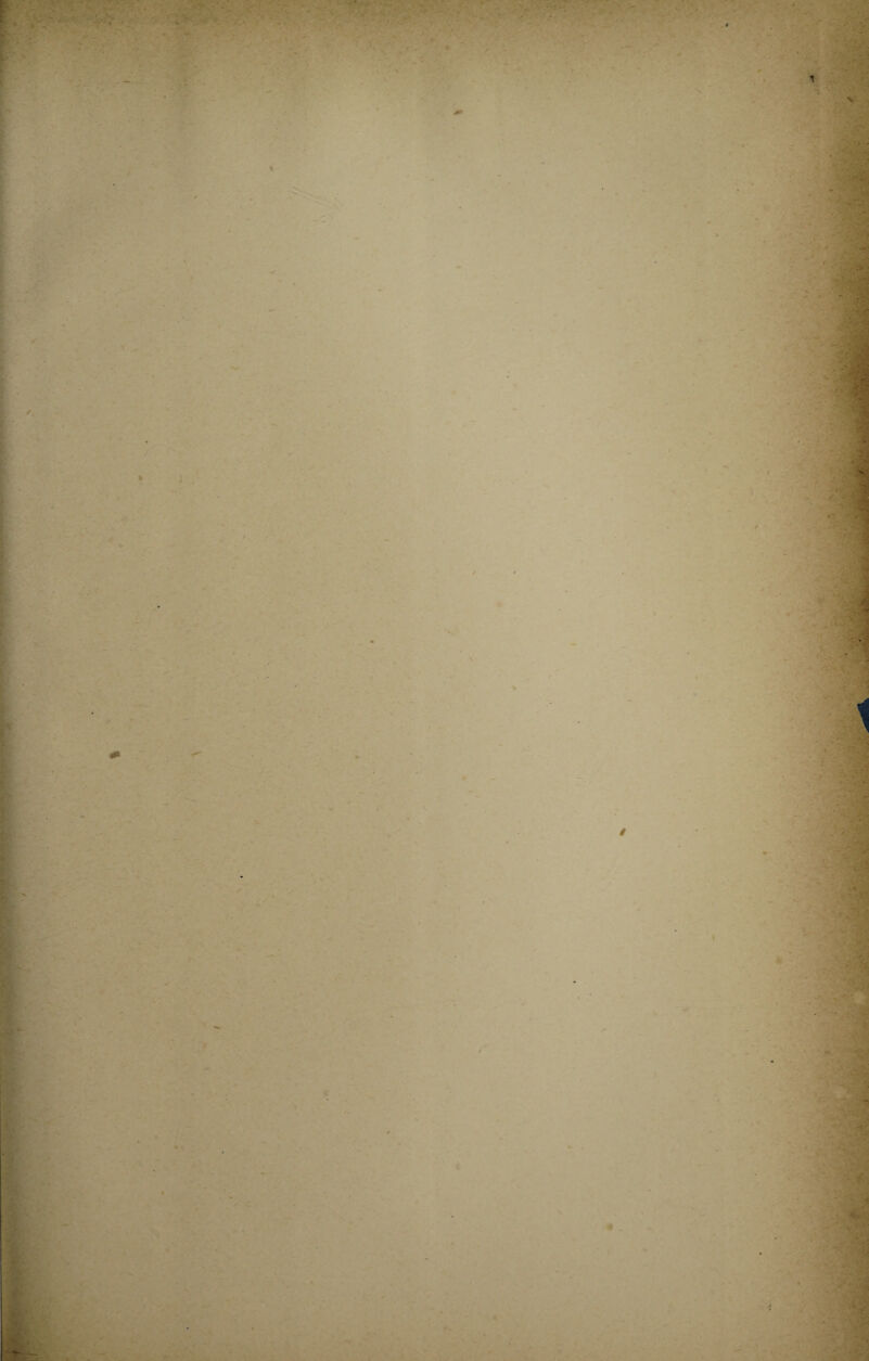 ' - J V ► . . ' - . ■. KA'Vi . , ** * . » jt& ' ■ ■ ■ m ■ ■ r‘ % - *> j-' . ; ’ ■ * * - *» ' - R N / ...» •« . wm . ■ i.. v .• * m */ H ■' rm / I 1 ✓ ' ;