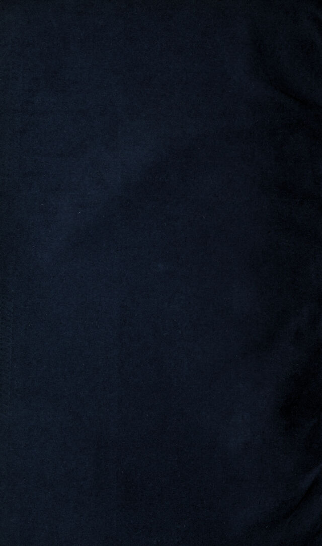 digitised image 2