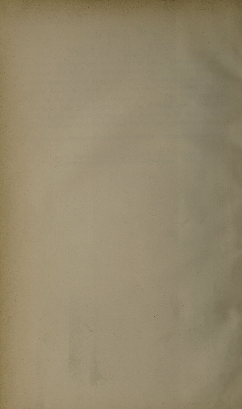 » • - > * ■* , ■■ .,4 • j ' / * t t, - * - ■i • V < . S ' * X l < ■ * ' \ ■Bg. m * -, ■ ■ ■r«