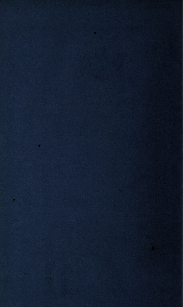 digitised image 2