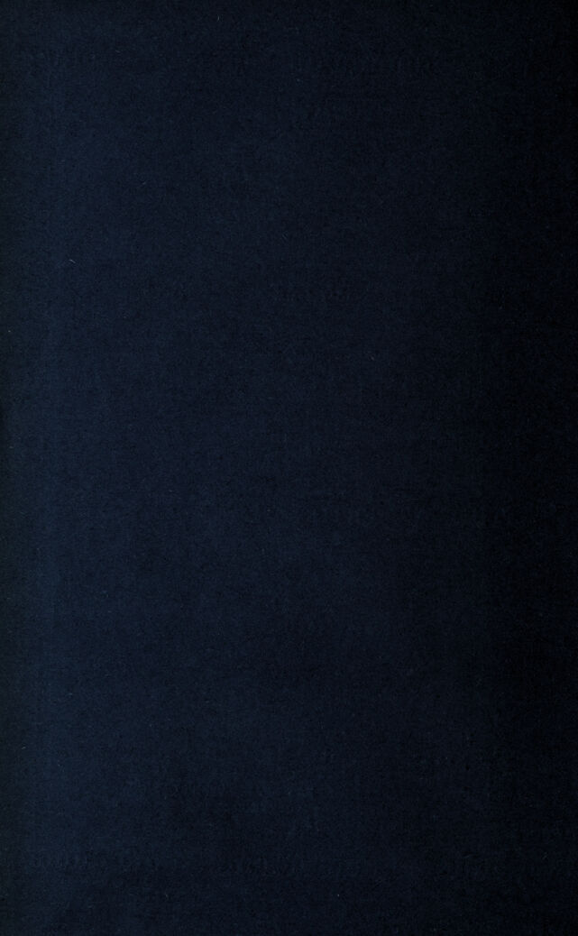digitised image 2