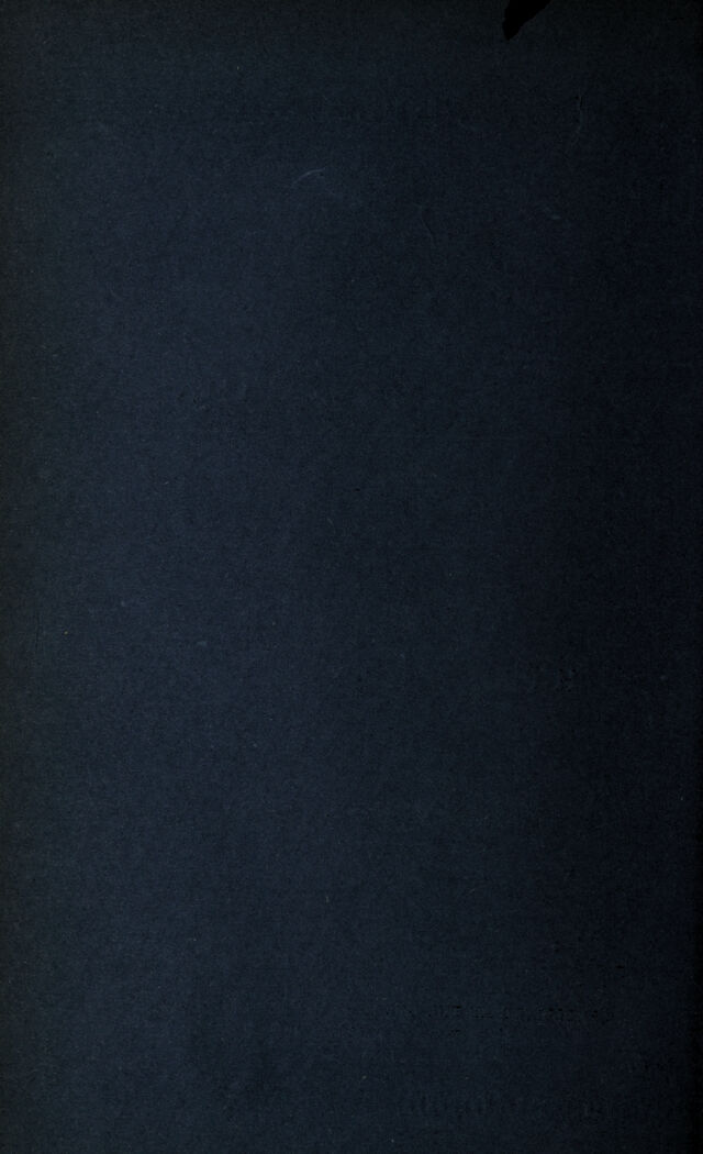 digitised image 2