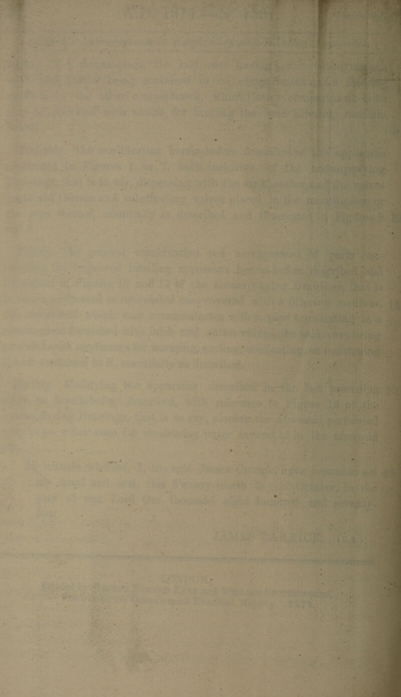 • * . • , : . . • - . • ■ % • • - . of. - till «- . .
