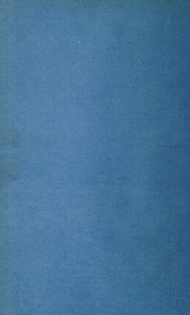 digitised image 2