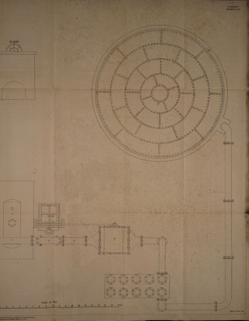 iGJi lir>«Aiii) and Wii.ijam SroTTiswooni-., inosi hxci'Jlent Majcsly. 1853. (3 sheets) DR/mNG Nl.