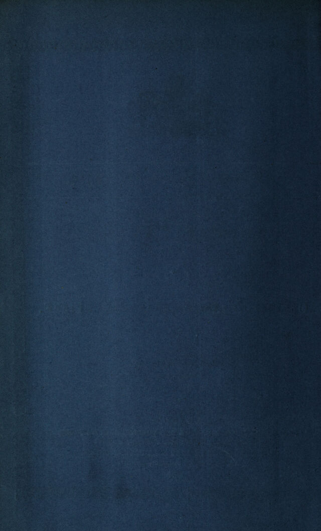 digitised image 2