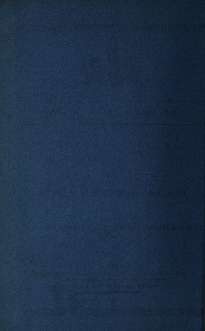 * * */* <1 IP - •'! i / 1 * > it T . ‘ f. T