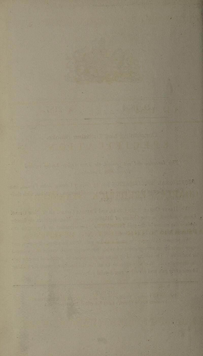 - • 1 . - ■ j * . . . . .v - < ■ i• • ‘ • ■ -j-u- . v • I 1 *vM . : .. v . . i ■'?>■ ■ .• ... . .. : >.■ i . ■ c * • . . , . «. . • • .. >, .