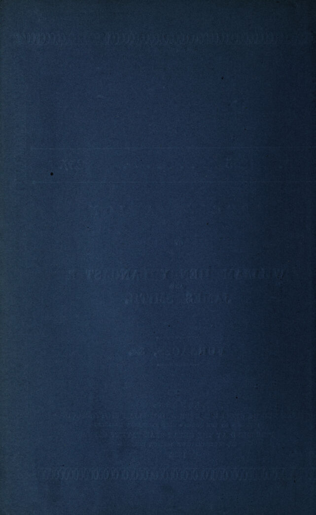 digitised image 2