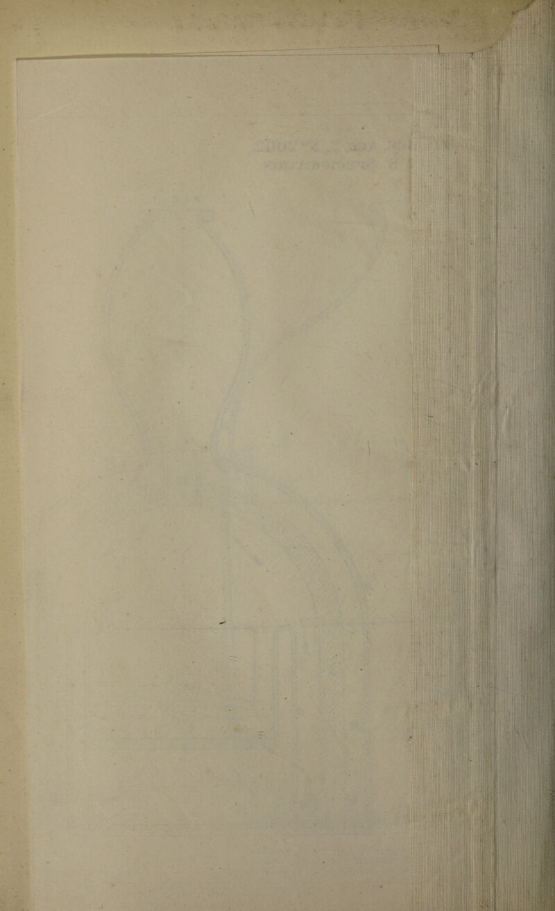 . • ' 1.1 ' J: 1 •F- ; ■ m Wilier!: KM ■ t '‘l Iff • ’ ‘ ‘' M i l l }- H ; ImH !(] '! !:ii . J i! •' is! Li'.:.. |i i| II . . ::■: ‘ . !:' • *. '''‘1,111 ’ ; ' . .,ilii;lS .1 ■M(i ,|.! I ' Hil l)} H I’ !l l|L I I : : .J . < •r 1 1 ::I : ’ ! !ii iy !j i p i|! ill ;•! ! I ! I fill i: 1 ,|l|||(i |[iHilr ill' iiiliii i I iiHliln Hf» Ji ‘u!r*lu- 'iJUfllli; it !; 11 iittil • ' !M|i| X .i11:.. ivil:; ’kill 1 hhiMBIH’ <1/ ,