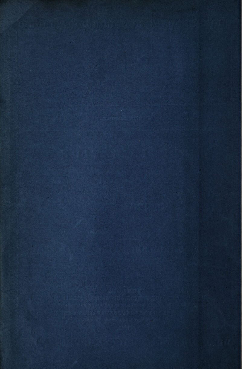 ■ ••V:. , ar . . - - >•• ■> ■ • stl av. ■■■'“•;* ./.'JiVs-vftwSESS ' ■ •11 •' ■' - j V-1,. •. » v *JPv ,v' 7» .*^1*1®^ r1 ■ .. v.*> ; v- .• : •#$.•<* & 54 >: INNhH