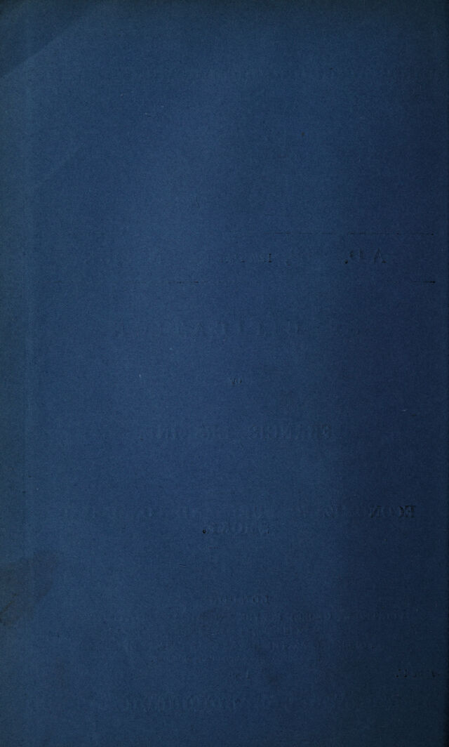 digitised image 2