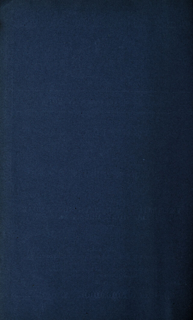 digitised image 2