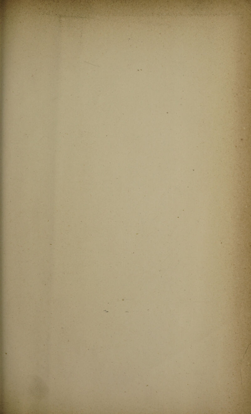 • * ‘ . ■ . \ ' k V In . n';i . * .y* « ■ . : /