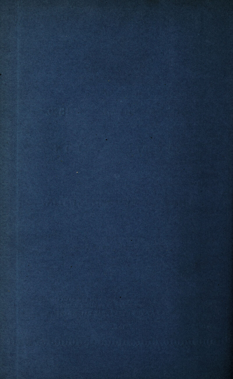 tfr'-r-'. ... ' ■ ■ ■• - - • ... . v. ■ - , . , .'V, •. s-n& . 3:/^ £ gA 'XV -X-: ,^;-SV. ' 1'r--v ks A/ ge a am* r*t 4*- ■ -{4 -iwi : •> $jg| '31 -5r- W ^gf§s4P •- ■■ .?'• ■,r ' :V 1 .-. ,...■• . •. ... i i <Ja ^ . • >••!' * «‘ Vs *’*.«.•* *£ * * / r- ■./;v -jw./c---:} ■ • , ' -I.’ ^ ' ■ . r-w -■ •; ^>,*3 ,0 32 • •' vsfc,-X>.-w-*r. >-■' %.'*'■ v -« .*• ; ti-. i -.- - *-. -> .-’M » , *• *■ ■ - ' .n v..• v •- ,•*, •;.-<* >s ■- .. -V-* ' ’ MJ ■' ' '. • ■’ ’ ' t/ -• . • . . **. ■ ' ■• , A . , V.v .... . - • ' -■» • - . , *<. ' ,. - ; I ' ... c. ■ • . S? ., „ -;V '- . ., ' . .• _^S88 ....: vv;'i-Cv;’f .• ■ tm ; -. % m