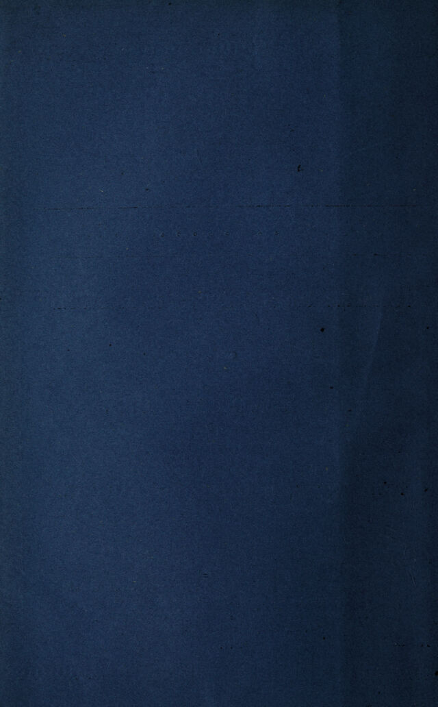 digitised image 2