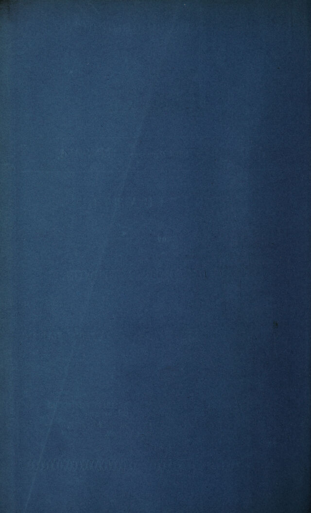 digitised image 2