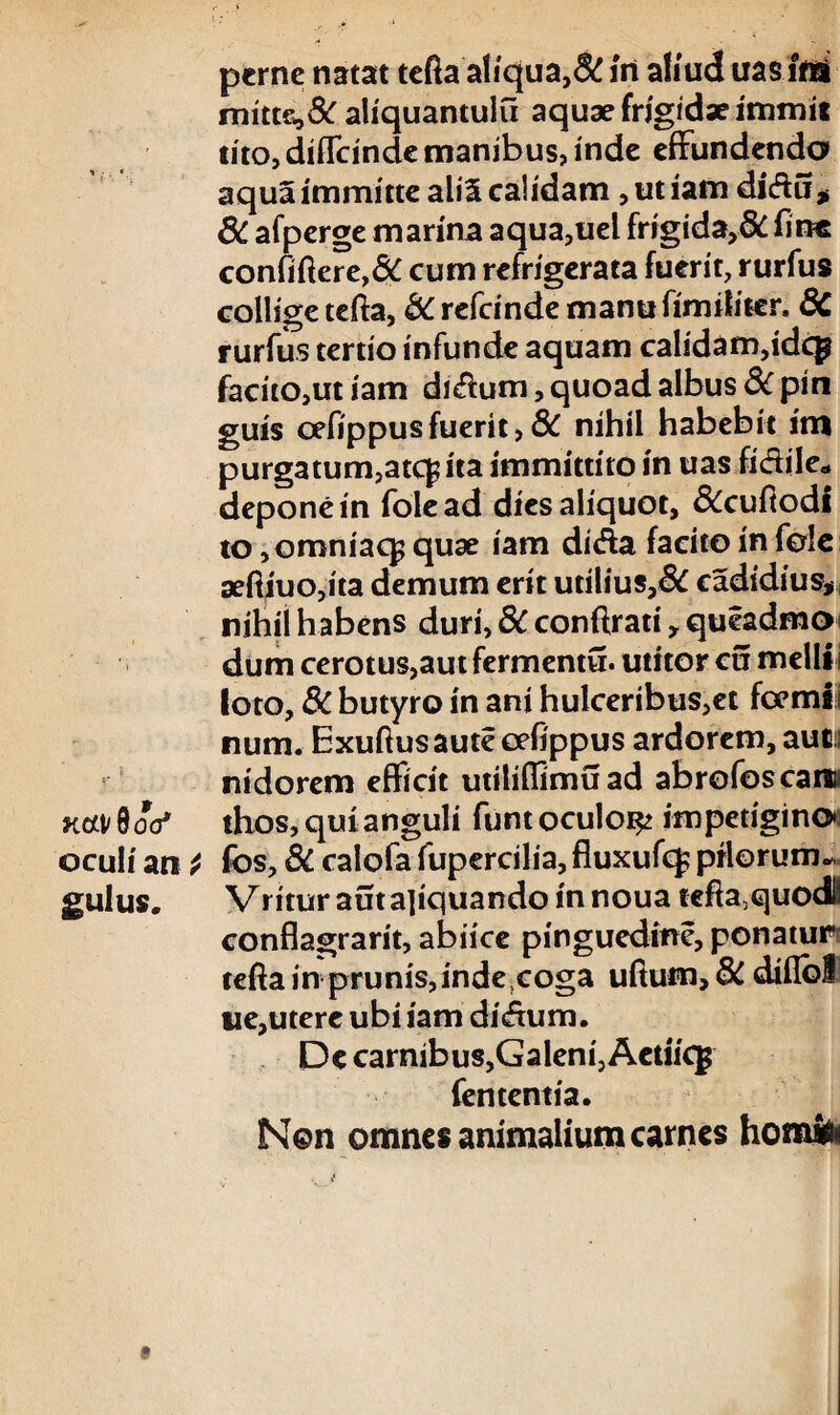 perne natat tefta aliqua,& m aliud uasiffli mitte,8C aliquantulu aquae frigidae immit lito, difleinde manibus, inde effundendo aqua immitte alii calidam, ut iam didu* 8C afperge marina aqua,uel frrgiday&fine confidere,5C cum refrigerata fuerit, rurfus collige tcfta, & refeinde manu fim ili ter. 8C rurfus tertio infunde aquam calidam,idcp facito,ut iam di<fUim, quoad albus 8c pin guis oefippusfuerit, 8C nihil habebit itn purgatum,ate^ ita immittito in uas fi&ile» depone in fole ad dies aliquot, &cufiodi to ,omniac£ quae iam dida facito in fole aefiiuOjita demum erit utilius,& cadidius* nihil habens duri, 8C conftrati x quiadmo dum cerotus,aut fermentu. utitor cu melli i loto, 8c butyro in ani hulceribus,et formis num. Exuftusautecefippus ardorem, auti nidorem efficit utiliflimuad abrofos cara* xocvfloV thos, qui anguli funtoculo^ impetigine» oculi an * fbs, 8c calofa fupercilia, fluxufcf priorum- gulus. Vritur aut a]iquando in noua tefta2quodli conflagrant, abiice pinguedine, ponaturt tefta in prunis, inde coga uftum,& diflbl we,utere ubi iam di«ftum. De carnibus,Galeni, Aedicj fententia. Non omnes animalium carnes homfc