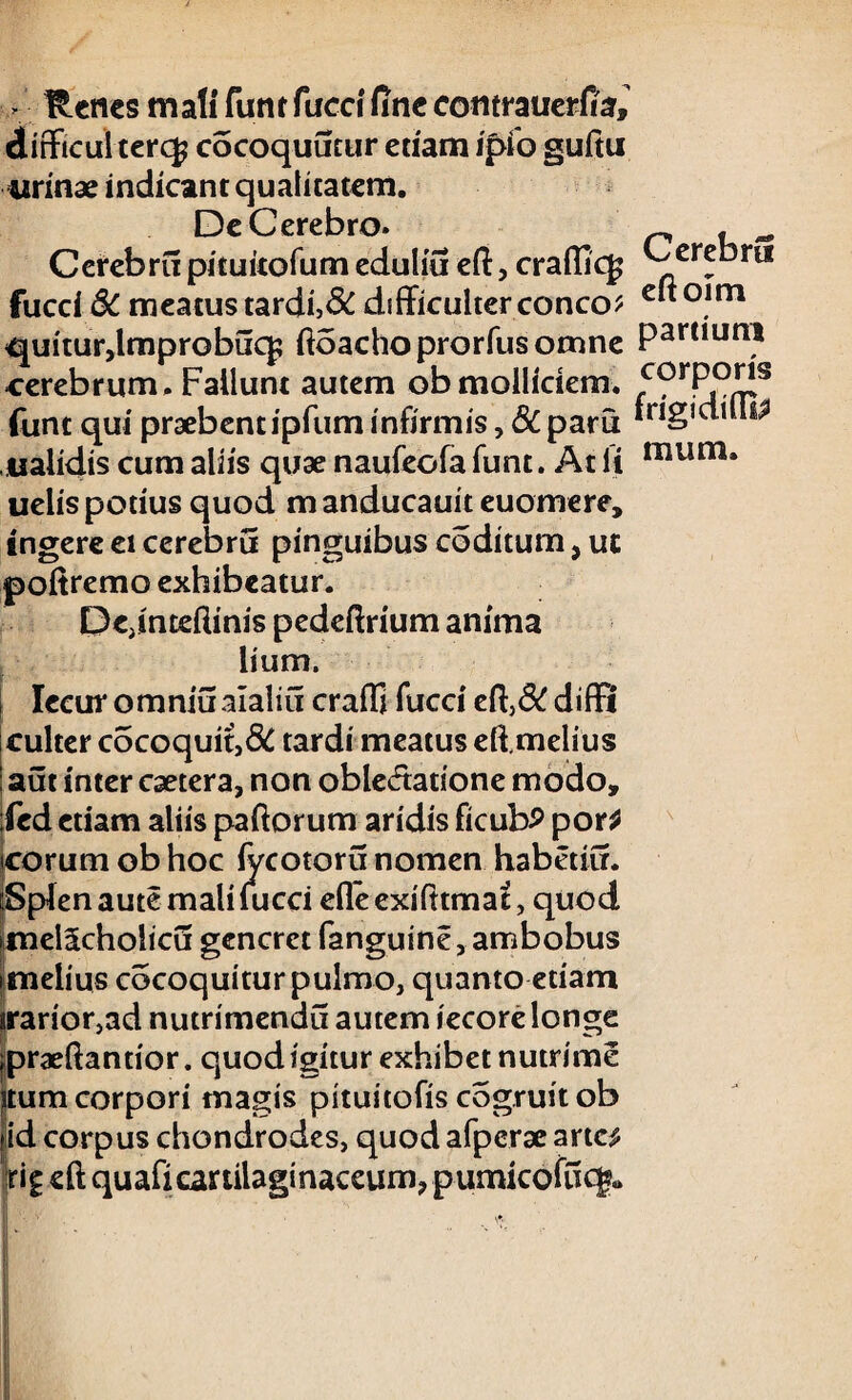 - Renes mali funr faecifine comrauerfo, difficulterq? cocoquumr edam ipfo guftu urinae indicant qualitatem. De Cerebro. Cerebra pituitofum edulia eft, craflicf fucci 8c meatus tardi,SC difficulterconco* quiturdmprobuq; ftoacho prorfus omne cerebrum. Fallunt autem obmollidem. funt qui praebent ipfum infirmis, 6C paru ualidis cum aliis quae naufeofa funt. At li uelis potius quod manducauit euomere, ingere ei cerebra pinguibus coditum, ut poitremo exhibeatur. Dednteftinis pedeftrium anima lium. i Iecur omniaalalid craffi fucci eft,& difFi culter cocoquit,& tardi meatus efimelius aut inter esetera, non oble&atione modo, :fed etiam aliis paftorum aridis ficubP por? icorum ob hoc fycotoru nomen haberiu. Splen aute mali fucci efie exifttmat, quod iinel5cholicu generet fanguine, ambobus i melius cocoquiturpulmo, quanto etiam irarior,ad nutrimendd autem iecore longe jpraeftantior. quod igitur exhibet nutrime itum corpori magis pituitofis cogruit ob •id corpus chondrodes, quod afperae arte^ rig eft quafi eartilaginaceum, pumicofucg* Cerebra eftoun partium corporis frigi di (Ih> inum.
