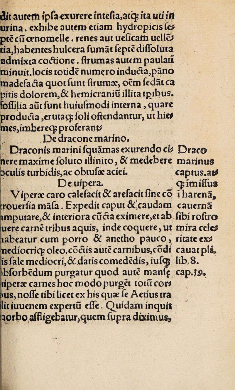 urina » exhibe autem etiam hydropicis fe* ptecucenomelle .renes aut ueficam uelle* tia,habentes hulcera fumat fepte diflbluta admixta codione. ftrumas autem paulati minuit.locis totide numero induda,pano madefada quot funt ftrumae, oem fedat ca pitis dolorem,& hemicranifi illita tpibus. foflilia aut funt huiufmodi interna, quare produda,erutae^ foli oftendantur, ut hic* meSjimberec^ proferant De dracone marino. Draconis marini fquamas exurendo d* Draco nere maxime foluto illinito, 6c medebere marinus Dculis turbidis,ac obtufac aciei. captus.at^ Deuipera. qdmiffus Viperae caro calefacit & arefacit fine co i harenas (:rouerfia mafa. Expedit caput &‘eaudam cauerna imputare,& interiora cuda eximere,et ab fibi rofiro uere carne tribus aquis, inde coquere, ut mira celc£ xabeatur cum porro dC anetho pauco, ritate cx2 nediocriq? oleo.codis aute carnibus,codi cauat plI» is fale mediocri,8C datis comededis, iufcg lib. 8. ibforbedum purgatur quod aute manfp capj$. fiiperae carnes hoc modo purget totu cor* s>us, nofle tibi licet ex his quae fe Aetius tra Ilitiuuenem expertu efie. Quidam inquit norbo.affligebatur?quem fupra diximu%