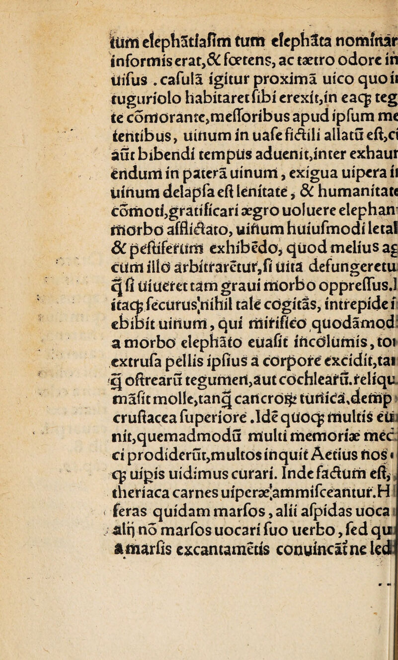 tum efephatiafim tum elephSta nominar informis erat,& foetens, ac taetro odore in Uifus .cafula igitur proxima uico quoii tuguriolo habitaret fibi erexit,in eacjj teg te comoramc,meflbribus apud ipfum mc tentibus, uinum in uafefi&ili allatueft,ci aut bibendi tempus aduenit>inter exhaur endum in patera uinum, exigua uipera ii irinum delapfaeft lenitate * dC humanitate comoti,gratificari aegro uoluere elephan ifidrbd affiidato, uiftum huiufmodi leta! & peftifetUm exhibedo, quod melius a§ cum illd arbitraretur,(i uita defungeretu g fi Uiueret tam graui morbo oppreiTusJ itacfc fecurus|riihil tale cogitas, intrepide i ebibit uinum, qui mirifico quodamdd; a morbo elephato eUafit incolumis, toi extrufa pellis ipfius a corpore excidit,tai g oftrearu tegumeri,autcdchleafu.reliqi:. mafitmollcjtanqcanicrd^ tUtiica.demp cruftacea fuperiore .Ide qUoc£ multis etti nit,quemadmodu multi memoriae mec ei prodiderut,multos inquit Aedus fios« uipis uidimus curari. Indefadum eft, theriaca carnes uipcraelammifceantur.H ( feras quidam marfos, alii afpidas uoca alrj no marfos uocari fuo uerbo, fed qu amarfis excantametis conuincatneled *•