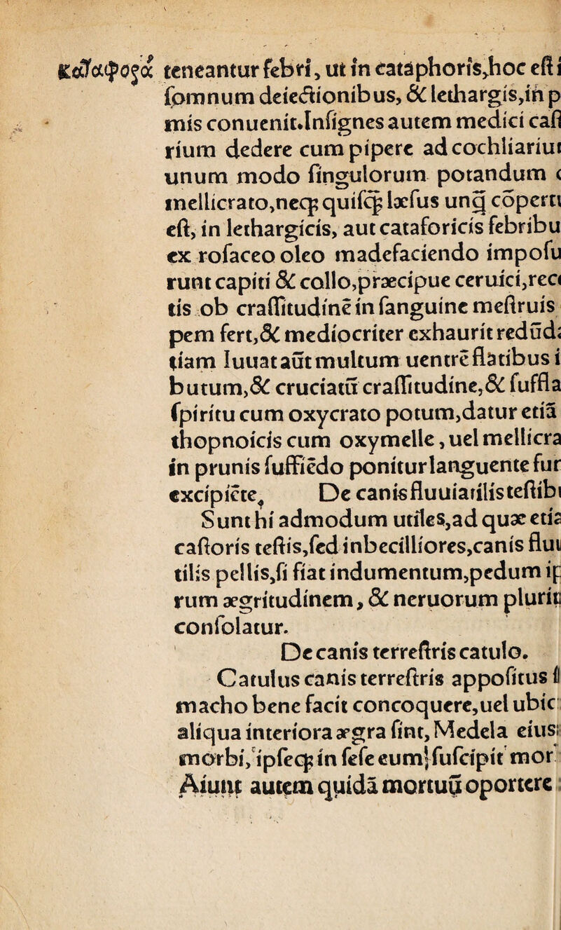 Kofoupo jcc teneantur febri , ut in eataphoris,hoc eft i fomnum deiedionibus, &C lethargis,id p mis conuenitJnfignes autem medici cafl rium dedere cum pipere adcochliariui unum modo Angulorum potandum < inellicrato,neq? quifq? lacfus unq copcrti eft, in lethargicis, autcataforicis febribu ex rofaceo oleo madefaciendo impofu runt capiti 8c collo,praecipue ceruici,reo cis ob craflitudineinfanguinemefiruis pem fert,& mediocriter exhaurit redud; tiam luuat aut multum uentre flatibus i butum,& cruciatu craflitudine,& fuffla fpiritu cum oxycrato potum,datur eda thopnoicis cum oxymelle, uel mellicra in prunis fuffiedo poniturlanguentefur cxcipicte, De canisfluuiarilisteflibi Sunt hi admodum utiles,adquaeetis cafloris teftis,fed inbecilliores,canis flui tilis pdliSjfi fiatindumentum,pedumif rum aegritudinem, 5C neruorum pluric conlolatur. De canis terreflris catulo. Catulus canis terreftris appofitus II macho bene facit concoquere,uel ubic aliqua interiora aegra fint. Medela eiusi morbi, ipfeq? in fefe eum’ fufeipit mor Aiuiu autem quida mortuu oportere