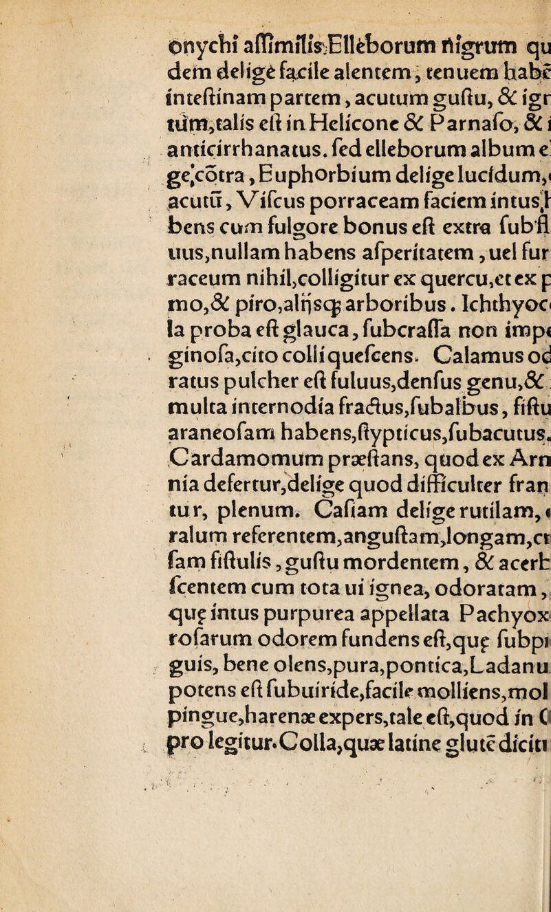 onychi affimitiVElIeborum nigrum qu dem deligefacile alentem, tenuem habe inteftinam partem> acutum guftu, 8c igr tum,talis eft in Helicone 8C Parnafo, 8C i anticirrhanatus. fed elleborum album e gejcotra, Euphorbium delige lucidum,» acutu > Vifcus porraceam faciem intusii bens cum fulgore bonus eft extra fubfl uus,nullam habens afperitatem, uel fur raceum nihil,colligitur ex quercu,et ex p mo,& piro,alfjsq^ arboribus. lchthyoc ia proba eft glauca, fubcrafia non imp< ginofa,cito colli quefeens* Calamus od ratus pulcher eft fuluus,denfus genu,& multa internodia fra<ftus,fubalbus, fiftu araneofam habens,ftypticus/ubacutus. Cardamomum praeftans, quod ex Arn nia defertur,delige quod difficulter fran tur, plenum. Cafiam delige rutilam, * ralum referentem, anguftam,longam,ct fam fiftulis, guftu mordentem, 8c acerb fcentem cum tota ui ignea, odoratam, qup intus purpurea appellata Pachyox rofarum odorem fundens eft,qup fubpi guis, bene olens,pura,pontica,Ladanu potens eft fubuiride,facile molliens,mol pingue,haren3eexpers,taleeft,quodin C pro legitur.Colla,quae latine glute diciti