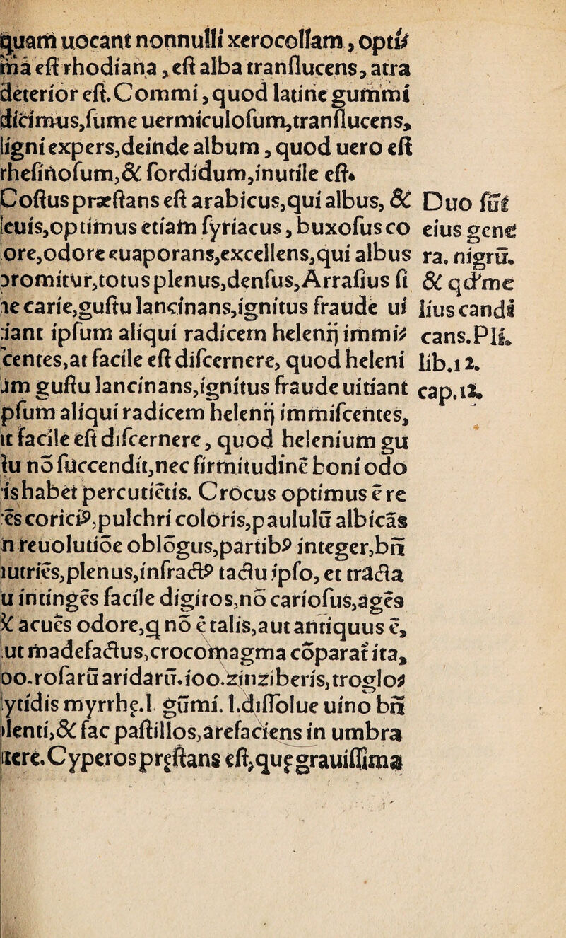 quam uocant nonnulli xerocolfam, optfe iri a eft rhodiana ,eft alba tranflucens, atra deterior eft. Commi, quod latirie gummi didmus,fumeuermiculofum,tranflucens, ligni expers,deinde album, quod uero eft rhefinofum,& fordidum,inutile eft* Coftus praeftans eft arabicus,qui albus, 8C Duo fui Icuis,optimus etiam fyriacus, buxofus co eius gene ore,odore euaporans,excellens,qui albus ra. nigriL Dromitur,totus plenus,denfus, Arrafius fi 8C qcPme iecarie,guftulandnans,ignitusfraude ui liuscandi :iant ipfum aliqui radicem heleni} immi* cans.PlL Ventes,at facile eft difcernere, quod heleni lib.i 2. jm guftu lancinans,ignitus fraude uitiant capaX pfum aliqui radicem heleni} immifcentes, it Facile eft difcernere, quod helenium gu lu no ftlccendit,nec firmitudine boni odo ishabet percutietis. Crocus optimus e re es corie#,pulchri coloris,paululu albicas h reuolutioe oblogus,partibP integer,bn lutries,plenus,infradP taduipfo,et trada u intinges facile digiros,no cariofus,age9 ^ acues odore,q no e talis,a ut antiquus e, ut madefadus,crocomagma coparat ita, oo.rofaruaridaru.ioo.£inziberis,troglo* lytidis myrrh^.l gumi. l.diftolue uino bn denti,8C fac paftillosjarefaciens in umbra itere.Cyperospr|ftans cft^qu^grauifllma