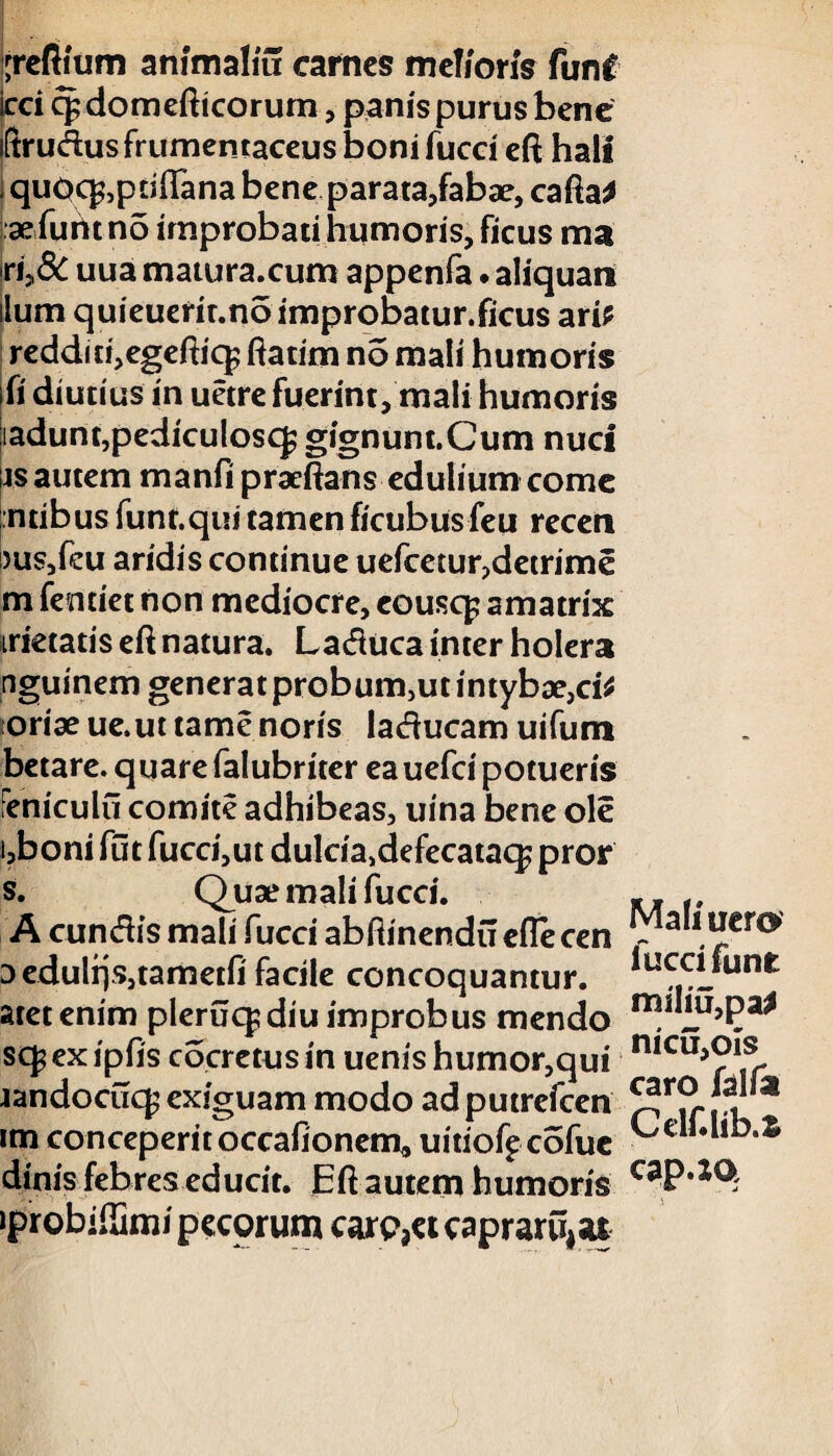 ;refiium animaliu carnes melioris funC Icci cpdomefticorum, panis purus bene iftrudus frumentaceus boni fucci eft hali j quoc^ptiflana bene parata,fabae, cafta* aefuhtno improbati humoris, ficus ma ri;,& uua matura.cum appenfa • aliquaii ilum quieuerit.no improbatur.ficus ari? redditi,egeftiq$ ftatim no mali humoris fi diutius in uetre fuerint, mali humoris ladunt,pediculos^ gignunt.Cum nuci js autem manfi pracftans edulium come ntibus funt.qui tamen ficubus feu receri 5us,feu aridis continue uefcetur,detrime m fentiet non mediocre, eousq; amatrix metatis eft natura. Laduca inter holera nguinerngeneratprobum,utintybae,ri? oriae ue.ut tame noris laducam uifum betare. quare falubriter ea uefei potueris feniculu comite adhibeas, uina bene ole i,boni fut fucci,ut dulda,defecataq? pror s. Quae mali fucci. A eundis mali fucci abftinendu cflecen Dedulrjsjtametfi facile concoquantur, aret enim pleruq;diu improbus mendo sq? ex ipfis cocretus in uenis humor,qui jandocuq; exiguam modo ad putrefeen im conceperit occafionem, uitiofpcofue dinis febres educit. Eft autem humoris iprobiffimi pecorum carp,a caprarii* a* Mali uero' fuccifunt miliu,pa* nicu,ois caro falfat Celf.lib.fc cap.xo