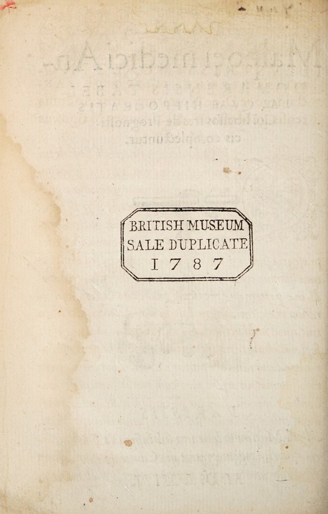 digitised image 2