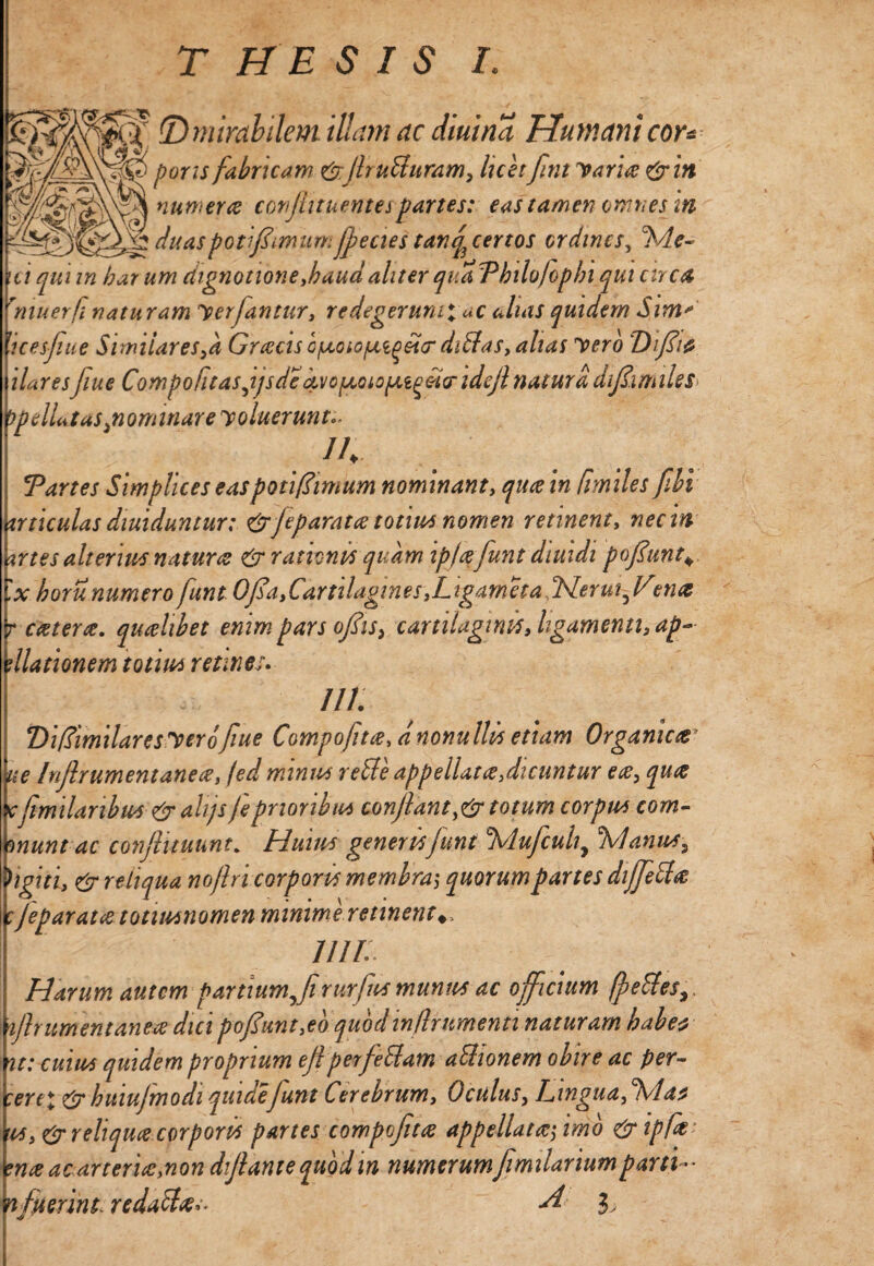 THESIS L conflituentes partes: eas tamen omnes in duas poti fimum jfecies tarfl certos ordines, Me- ici quun harum dignatione,haud aliter quaThilo[ophi qui cnca rmuerfi naturam Ter fantur, redcgerumi ac alias quidem Sim* 'icesfiue Similares,a Gracis cfjeoiofjei^T ditifas, alias Tero 'Difliz liaresfiue Compotitas [ijs dedvofaoiofa^etcndefl natura difl.imiles *)pelLt as ,nonnnar e T oluerunt. • /4 & T) mirabilem illam ac diurna Humani cor* mm pons fabricam &JlruUuram, licet flnt Taria&in Tartes Simplices easpotiffimum nominant, qua in [miles fibi miculas diuiduntur: grfeparatce totius nomen retinent, nec in mes alterius naturae & rationis quam ipfafunt diuidi poflunt 'x boru numero funt Of a,Cartilagines,Ligameta[Sterui^lf ena r c at er a. qualibet enim pars oflis, cartilaginis, ligamenti, ap~ illationem totius retines» in. DiffimilaresTero fiue Compofitte, dnonulUs etiam Organica* ue Inftr ument ane ce, jed minus reffe appellata, dicuntur ea, qua Kfimilanbm & alijs feprioribus conflant,&totum corpus com- wunt ac conftituunt. Huius generisJuni Mufcuhy Manus5 hgiti, & reliqua noftri corporis membraj quorum partes diffeffa tjeparatatotiutnomen minime retinent^ Ulli Harum autem partium.yfirurfus munus ac officium fpettesy flrumentanea dici pofiunt,eo quodin frumenti naturam habet nt: cuius quidem proprium eflperfetilam aUionem obire ac per- :en\ &tiuiufmodi quidefunt Cerebrum, Oculus, Lingua,Mat 'ts,& reliqua corporis partes compofita appellatafimb & ipfa¬ ma ac arteria,non diflante quod in numerum fimilariumparti * • nfuerint redacta^ ^