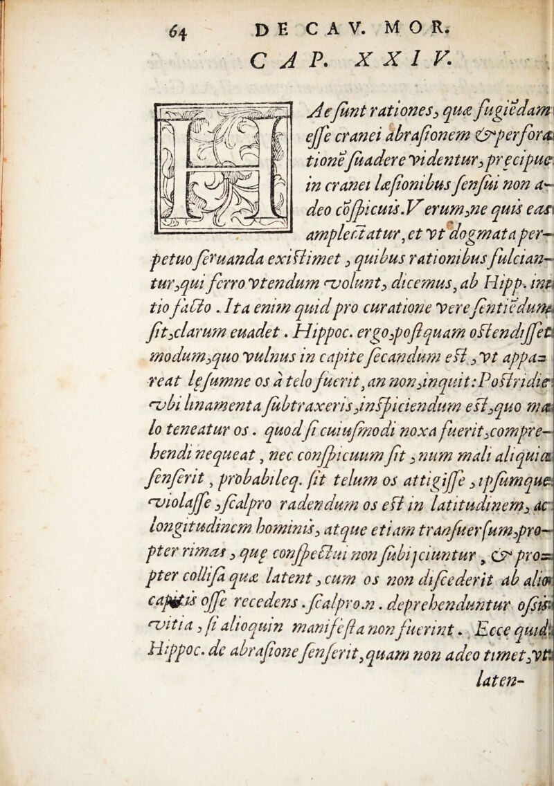 C A P. XXIV. Aefunt rationes, qua, fugiedam ejfe cranei abrafonem &perfor& tionefuadere videntur3precipm in cranei Ufonibus fen/ui non a- deo cofbicuis.Verumpne quis eas amplectatur, et vt 'dogmata per¬ petuoferuanda existimet 3 quibus rationibus fulcian tur,qui ferro vtendurn n;olunt, dicemus, ab Hipp. imi tiofacio . Ita enim quid pro curatione Verefntiedum fit,clarum euadet. Hippoc. ergo ,pofi quam oflendijjeu modum,quo vulnus in capitefecandum e fi vt appa= reat lejumne os a telo fuerit, an non ,in quit: Po flridie: nabi linamentafubtraxeris ,mff i ciendum efi,quo ma lo teneatur os. quodfi cuiufinodi noxa fuerit ^compre¬ hendi nequeat, nec confficuum fit , num mali ali qui a fenfrit, probabileq. fit telum os attigijje ,1pjumqup. 'violajfe }falpro radendum os e fi in latitudinem, ac longitudinem hominis, atque etiam tranfuerfum,pro- pter rimas , qug confechu nonJubijciuntur, & prox, pter colli fi qu£ latent, cum os non difcederit ab alm capifiMoJfe recedens. falpro.n. deprehenduntur ofsis' nntia, fi alio quin manijefla nonfuerint • licce quid.. Hippoc. de abrafonefienfint ,quam non adeo timetpvt'. laten-