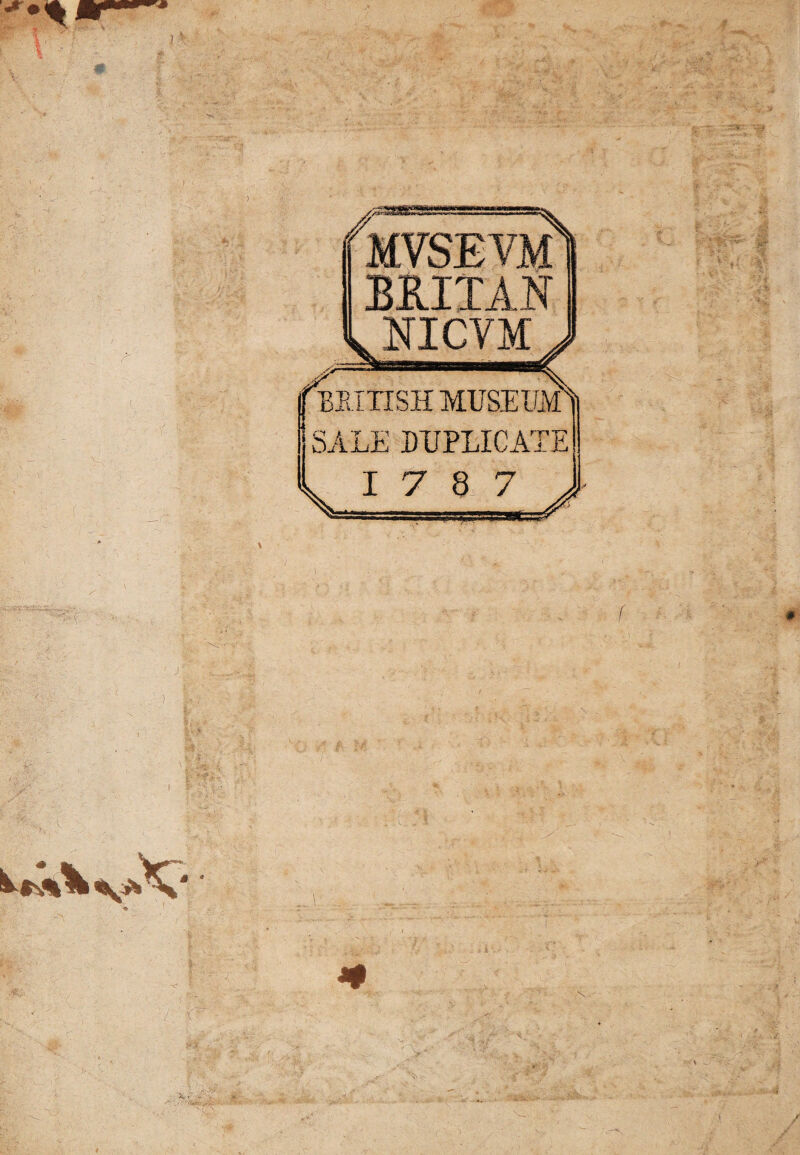 X x\ X NICVM B1ITISH MUSEUM Ii SALE DUPLICATE 17 8 7 \ vX-