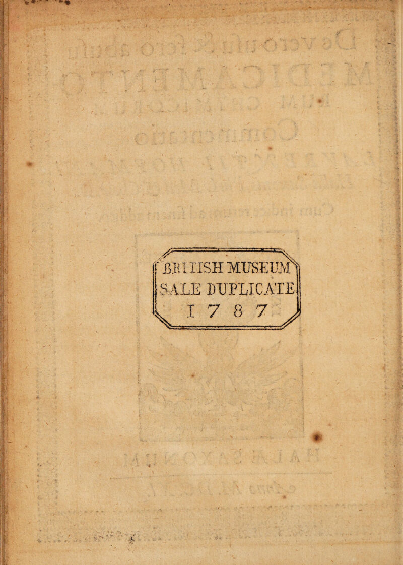 illiXTISH MUSEUM i SALE DUPLICATE 17 8 7