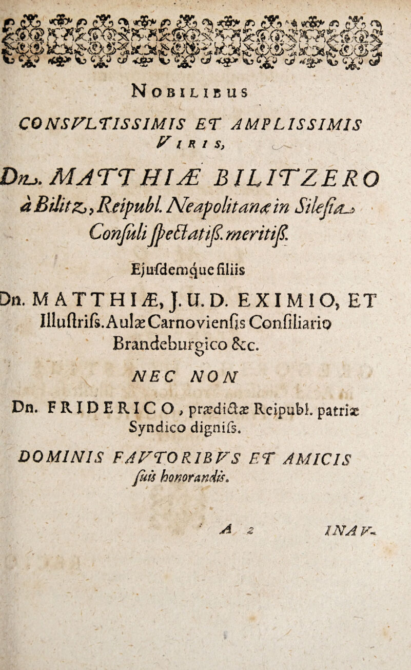 ■ /■ Nobilibus CONSULTISSIMIS ET AMPLISSIMIS F IRIS, - Dru. M A TT HIAL BJLITZERO aBilitZj,Reipubl. Neapolitanam Silefia^ Conjuli JpeBatif. meritifi, Ejufdemgue filiis Dn. M ATTHIiE, J.U. D. EXIMIO, ET Iiluftrifs.AulceCarnovienfisConfiliario Brandeburgico tkc. ! > ■“ < , *■ . NEC NON Dn. FRIDERIC O > prjedi&aj Reipubl. patri* Syndico dignifs. DOMINIS FAFTOKIBVS ET AMICIS fuis honorandis* X NA Fi \