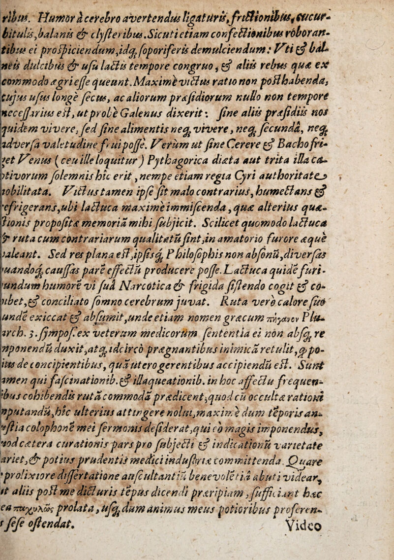 t&m. bitulis,balanis & cljfteribm. Sic Uti etiam confei tibusei proficiendum jdfyfoporiferis demulciendum : ffti £5? bak* neis dulctbfis <& ufu laBis tempore congruo i g? aliti rebus qua ex commodo agriejje queunt, Maximi viBm ratio non poBhabenday cujus ufus longe Jectu, ac aliorum pr a fidiorum nudo non tempori \necejjariiss efl, ut probe Galenus dixerit: jine aliis prspdiis nos quidem vivere :fed Jine alimentis ne^vivere y ne% fecunda, neap ■adverfa valetudine fuipojje\ erum ut fine Cerere £•? Bacho fri- fetP^tmus [ceu ille loquitur) Pythagorica disci a aut trita iUa£a~ Wivorum folemnis hic erit, nempe etiam regia Cyri authoritattj* 'Mobilitata. Vitlus tamen ipje Jit malo contrarius, humeBans tjj \rfrigerans,ubi laBuca maxime immijcenda ,qu<£ alterius quse- i?ionis prcpopts memoria mihi Jubjicit. Scilicet quomodo laBuca Y? ruta cumcimtrartarum qualitatuJintfn amatorio furore <eque valeant* Sed res plana eB,ippsjt Philojophis non abjenu>diverja$ mando^ caujjds pare effeti u producere pojje. LaBuca quidefuri* \undum humore vi fuk Narcotica & frigida Jiflendo cogit g? co» bibet, conciliato fomno cerebrum juvat. Ruta vere calore fuo \unde exiccat gf abfumit ,undeetiam nomen gracum 7mymv Plti- hrch, s.jympojlex veterum medicorum putentia ei non abpf re \nponendu duxit,at % idcirco praegnantibus inimica retulit ,cp po¬ lus de concipientibus, qua utero gerentibus accipiendu efl. Simi \imen qui fafcznationib.g?illaqneationib.inhocaffeBu frequcn- dms cohibe nati ruta commoda prddiCent^quod cu occulta rationi nputanduyhic ulterius attingere nolm,maxi??,} dum teporis an- vflia colophone meiprmonis de fiderat,qui cb magis imponendus, 'iodc&tera curationis pars pro fkbjeBi f§ in dicatiori u varietate ariet,&potius prudentis medici indufkruc committenda. Quare 'prolixiore differtaftone aufcultantiu benevoletia abuti videar,± it aliis pofl me diBuris tepus dicendi praeripiam 3ptjficunt hsc ea prolata > ufy dum animus meus potior ibus profer en*