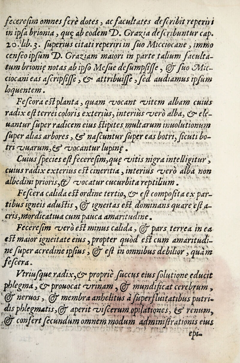 fecerefm omnes fere dotes 3 ac facultates de fer ibit reperiri in ipfa brionia 3 qu% ab eodem <Z>. Gratia defribuntur cap. 20 «I fieperius citati reperiri in fuo Micciocane 3 mino cenfeo ipjum T). Graziam maiori in parte talium faculta¬ tum brtonif notas ab ipf Mefie defumpffe, Gffuo SMic- ciocani eas afripfjfe 3 0* attribuiffe ffed audiamus ipfurn loquentem. Fefcora e St piant a y quam asocant asitem albam cuiUs radix e fit erret coloris exterius, interius asero alba3 & ele- V r. ■ * ... V. ,r . v. . ( , . _ . ^ v.; uanturfuper radicem eius Stipites, multarum inuolutionum Juper alias arbores, (s1 nafunturfaper tas botri, fcuti bo- tri asuarum3 & asocantur lupine. ' ' . 'jF *• -*? »•' . i i. '■> « * •<> * • < •. • v . Cuiusfpecies ejl fecerefm3qup rvitis nigra intettigiiur > : 7 exterius e St cineritia > interius rvero alba non v V s' ¥ • VJ ,’V < i >• * repulsum. e fera calida e St ordine tertioy & e/? compofta ex par- tibus igneis aduStis , ^ igneitas eSt dominans quare e fa¬ ctis jtiordicaUua cum pauca amaritudine. *■' • . ■ i ■ . >■ - . - , Fecerefm asero eSt minus calida 3 (ff pars terrea in ea eSt maior imeitate eius, propter quod e St cum amaritudi- ne fuper acredine ipfus 3 (gf ef in fefera. Vtriufque radixproprie ficcus eius Solutione, r / ■ ! -• '■ . * . ^ p 5 v i ^ A.. phlegma, c>* prouocat aerinam - (gf mundincat cerebrum 9 ° ■■ tj : ; /, • v A ’ ' /»■ • » ’ v<> . (gT neruosy 0T membra anhelitus a fuperrlmtatibus putri* egmatis3(ff aperit ojijcerum Qpdationes, & tenupn^ CUIUS r/onx. t r, ;. ■>< -s i • - v % ■ , (gjf confert fecundum omnem ryodum ddmim flrationis eius i.'' . ^ _ t ■ *'v ' •, ■■ ■ p |i» f