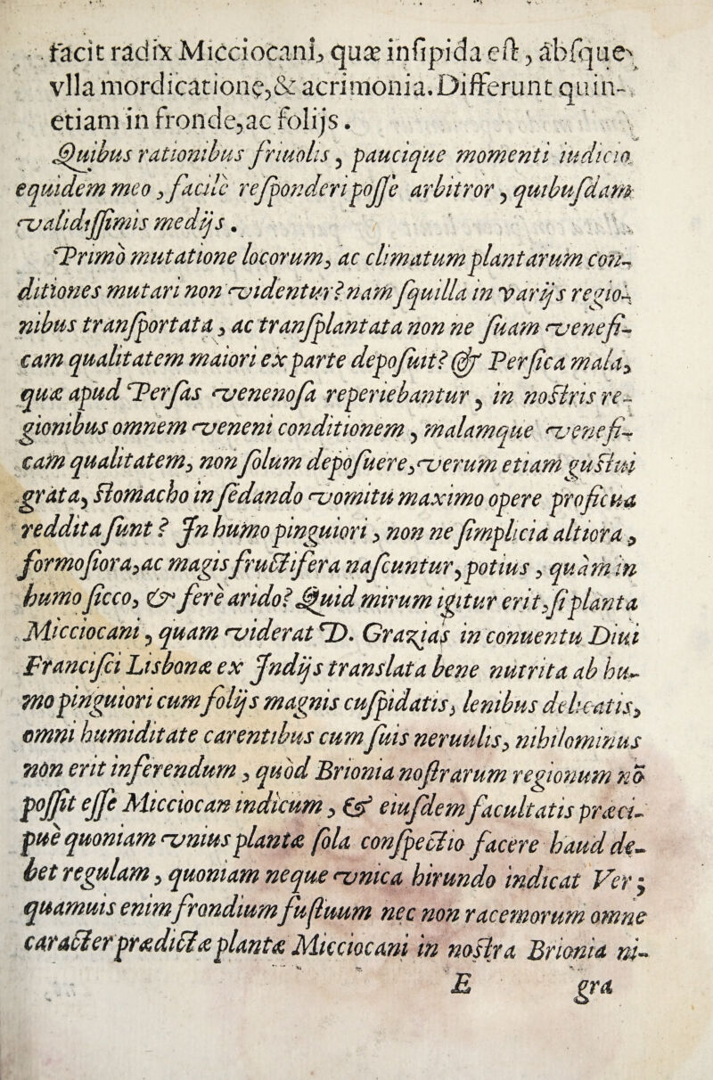 facit radix Micciocani qua; infipida eOr, £bfque> vlla mordicatione^ acrimonia. Differunt quin- etiam in fronde,ac Folijs. y Quibus rationibus friuolis, paucique momenti wdicm equidem meo, facile rejponderipojje arbitror, qmbufdam <z?alidifimis medijs. , Primo mutatione locorum> ac climatum piant arum con¬ ditiones mutari non ‘-videntur? nam fqudla in Varijs regio¬ nibus tranfportata * ac tranjplantata non ne fuam ‘‘venefi¬ cam qualitatem maiori exparte depofuit?(fif Perfica mala* qua, apud 'Perfias njenenofia repenebantur 5 in noflris re¬ gionibus omnem njeneni conditionem, malam que n,venefi¬ cam qualitatem;, nonfiolum depofiuere*<i)erum etiam cnislm grata5 ftomacho in fidando ‘-vomitu maximo opere proficua redditafiunt ? fin humo pinguiori * non nefimplicia ait tora 9 formofiora*ac magisfrubtifera nafcuntur, potius* quam in humo ficco* & fere arido? Jguid mirum igitur erit *fiplanta Micciocani, quam ‘-viderat fZX Grava} in conuentu Diui Francifii Lisbonx ex fndijs translata bene nutrita ab hu¬ mo pinguiori cum folijs magnis cujpidatis> lenibus debeatis* emm humiditate carentibus cum fiuis neruulis* nihilominus non erit inferendum * quod Bnonia nofirarum regionum no pojfit ejfie Micciocan indicum * & eiufdem facultatis prm- pue quoniam rvmus planu fola confeci io facere haud de¬ bet regulam * quoniam neque <-vmca hirundo indicat Ver $ quamuts enim frondium fusuum nec non racemorum omne c arati er prxdibix piante Micciocani in nostra Brlonra ni-