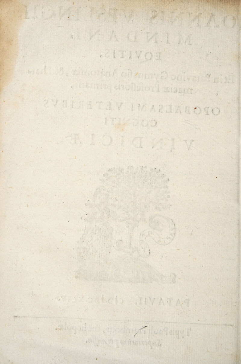 . /'■ :t mn ■ i ■ ■ v'^. ‘ V - .»l< . .■< . :. ■ ‘ v' :* i' . i ■' : , • ■ 'Xy ■. ? >■ vi ' - . i ' ’ « ■i ’>»< > > m \ - - I > -/ , / :< S >■ i ,, •; f .  . i \ -r? . ^ a sV. V . o V - T ■ i' < . /