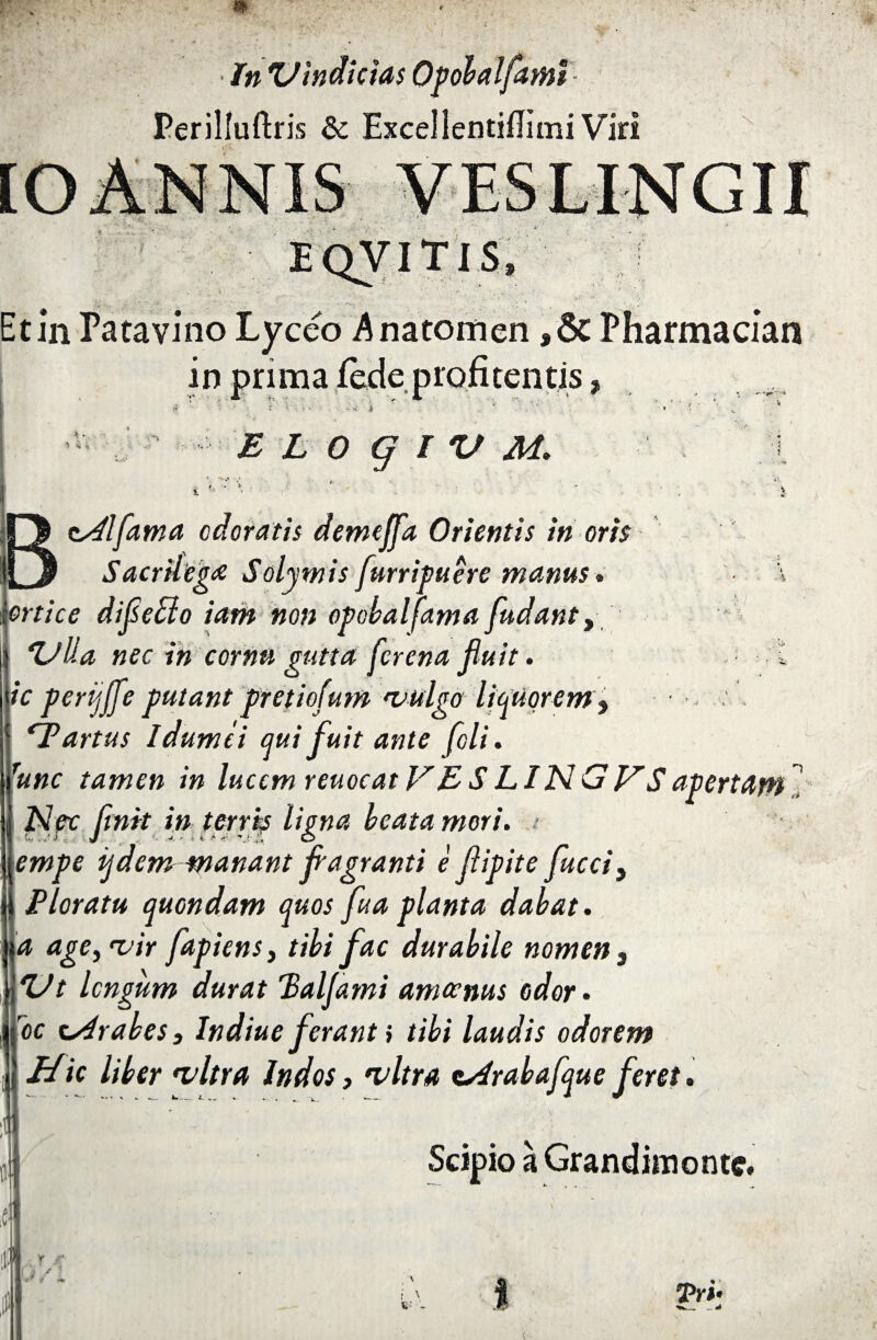 Perilluftris & Excelientiflimi Viri \ EQVITiS, • «/. • '• ' vC: '■* , ■ ■ *• . t . » Et in Patavino Lyceo Anatornen ,& Pharmacian io primaledeprofuentis* . v , E L O g I V M. Bcsdlfama odoratis demejfa Orientis in oris Sacrilega Solymis [urripuere manus» orti ce diflefiio iam non opobalfama [udant, *UUa nec in cornu gutta [crena fluit. I ic perijjfle putant pr et tofum vulgo licitiorem $ ‘Partus idumci qui fuit ante [oli. Tunc tamen in lucem reuocat VES JLINGVSapertanti Nec finit in terris ligna beata mori, j empe ijdcm manant flagranti e flipite fucet y Ploratu quondam quos fu a planta dabat. a age, vir fapiens, tibi fac durabile nomen s Vt longum durat 'Balfami amoenus odor • oc csdrabes, Indiue ferant i tibi laudis odorem Hic liber vitra Indos, vitra csdrabafque feret • Scipio a Grandimonte. y -*• I Tri