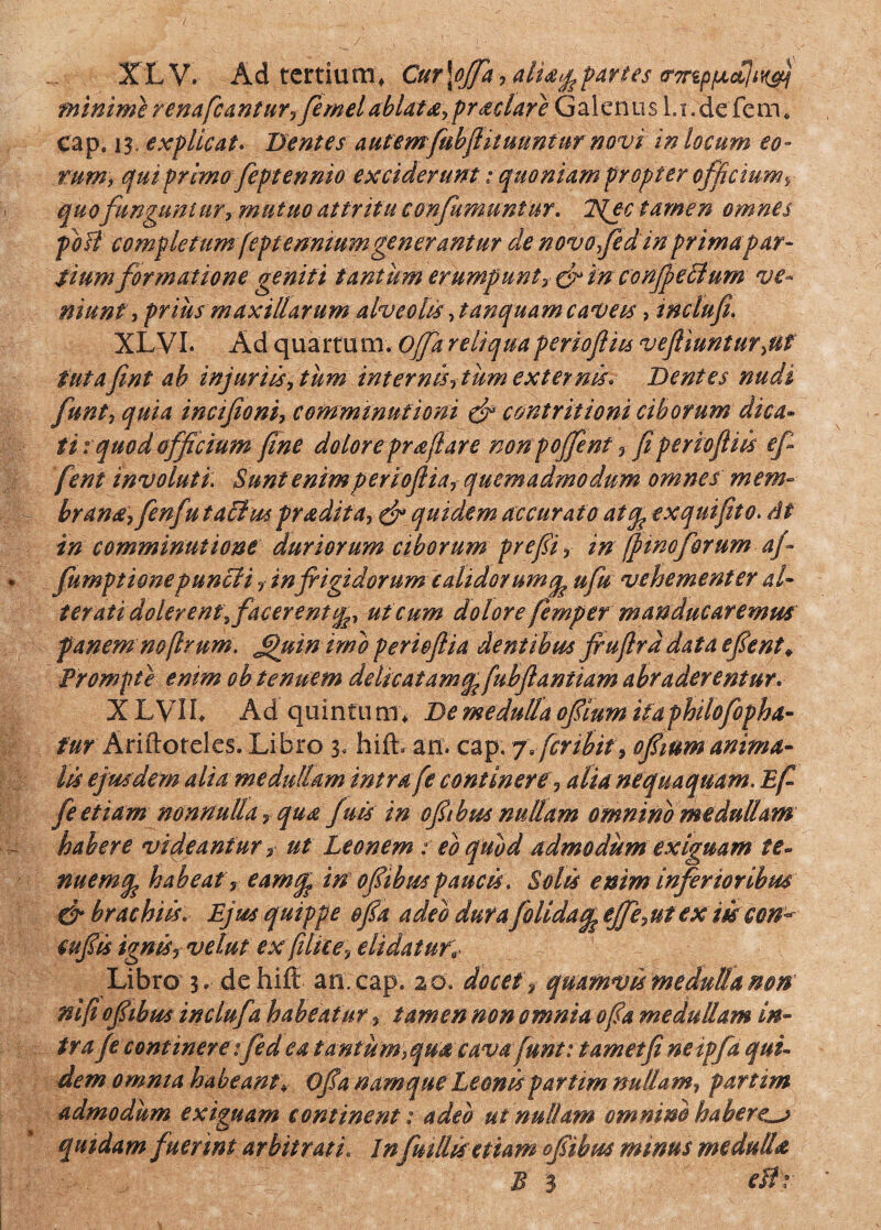 XLV. Ad tertium, Cm\oJfa> alU$parites (rmppclltitfj minime renafcantur,femel ablata, pr sciar e Galenus l.r. de fem * Cap, 13. explicat* Dentes autemfnbftiiuuniur novi in locum eo¬ rum, qui primo feptennio exciderunt: quoniam propter officium, quofunguntur, mutuo attritu confumuntur. 2\ec tamen omnes fb fi completum (eptennmm generantur de novofed in primapar¬ tium formatione geniti tantum erumpunt, & in confpeflum ve¬ niunt, prius maxillarum alveolis ,tanquam caveis, tnclufi. XLVI. Ad quartum. Offareliquaperiofliu veftmntur,nf tutafint ab injuriis, tum internis, tum externis. Dentes nudi funt, quia tncifioni, comminationi & contritioni ciborum dica* ti t quod officium fine dolore prsjlare non pojfent, fiperiofliis ef fent involuti Sunt enimperioflia, quemadmodum omnes mem¬ brana, fenfu taflus prsdita, & quidem accurato atep exquifito. At in comminatione duriorum ciborum prefi, in (pinoforum af fumptionepuncli, in frigidorum calido/umep ufu vehementer al¬ ter ati doler ent, facerent qs, ut cum dolore femper manducaremus fanem no (Irum, jpuin imo perieflia dentibus fiuftrddataefent; Prompte enim ob tenuem delicatamspfuhftantiam abraderentur. X LVII. Ad quin tu m, De medulla ofium ita philofopha- fur Ariftoteles. Libro 3. hift* an. cap. jfcnbit, ofium anima¬ lis ejusdem alia medullam intra fe continere 3 alia nequaquam. Ef feetiam nonnulla, qus fuis in ofibus nullam omnino medullam habere videantur, ut Leonem : eb quod admodum exiguam te» nuernq habeat, eamgp in of ibus paucis. Solis enim inferioribus & brachiis. Ejus quippe ofa adeo dura folidacp ejfe,ut ex m con^ tufis ignis, velat ex filice, elidat uri Libro3. dehifb an.cap, 20. docet f quamvis medulla non ni/i ofibus inclufa habeatur, tamen non omnia ofa medullam in¬ tra (e contineretfed ea tantum,qua cava funt: tametfi neipfa qui¬ dem omnia habeant, Ofa namque Leonis partim nullam, partim admodum exiguam continenti adeo ut nullam omnino haberem quidam fuerint arbitrati. Infmllis; etiam ofibus mmus medulla B 3 efh