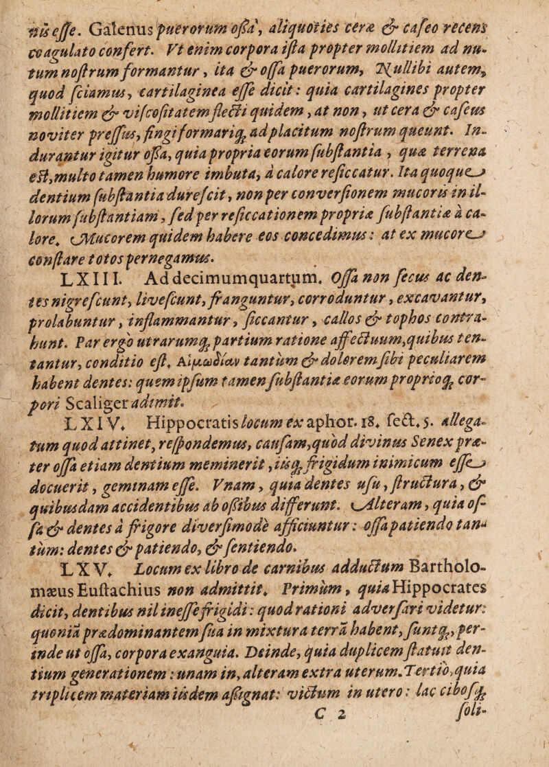 mejje. Galenus puerorum ofra\ aliquoties cers & cafeo recem coagulato confert. Vi enim corpora i fla propter mollitiem ad nu¬ tum noftrum formantur, ita &o(fa puerorum, 2\ullibi autem, quod fetamus, cartilaginea ejfe dicit: quia cartilagines propter mollitiem & vifcoflfatemflMi quidem, at non, ut cera & cafem novit er preffks, fingi for marifo ad placitum nofirum queunt. In- durantur igitur ofla. quia propria eorum fubflantia , 4W2 terrena ett,multo tamen humore imbuta, d calore reflccatur. Ita quoque^ dentium (%bflantia durefeit, nonper converfionem mucoris mil¬ iorum fub flant iani, fedper re fucationem propria fub flant ia a ca¬ lore 4 CMucorem quidem habere eos concedimus: at ex mucore~j conflare t ortos pernegamus. LXIII. Addecirnumquartum. offa non fecus ac den¬ tes nigre fcunt^ livefcunt.fr anguntur* corroduntur, excavantur* prolabuntur. inflammantur * flccantur, d tophos contra¬ hunt. Par ergo utrarumpartium ratione affectuum.quibus ten~ tantur, conditio eft, AlfacaSictv tantum & doloremfrbi peculiarem habent dentes: quemipfum tamenfub flantia e orumproprio cor¬ pori Scaliger adimit. L XI V* Hippocratis locum ex aphor. !§♦ fedvs* allega¬ tum quod attinet, refpondemus, caufam.quod divinus Senexpra» ter offa etiam dentium meminerit frigidum inimicum effr_j> docuerit, geminam ejfe. Vnam > quia dentes ufu, flruEtura, & quibusdam accidentibus ab ofiibus differunt. ^Alteram* ^ fa & dentes d frigore Mverfimode afficiuntur: offa patiendo tan^ tum: dentes & patiendo, & frntiendo. LXVf Locum ex libro de carnibus adduEfum Bartholo- masus Euftachius noti admittit♦ Primum, quia Hippocrates dicit, dentibus nil ineffefrigidi : quod rationi adverfrvi videtur: quonia pradominantemfua in mixtura terra habent* funta^. per¬ inde ut offa, corpora exanguia. Deinde, ^#/4 duplicem flature den¬ tium generationem :unam in, alteram extra ut erum. Tert io> quia triplicem materiam iisdem afrignat: vitium in utero: lac ciboffc € Z .V; fili- I