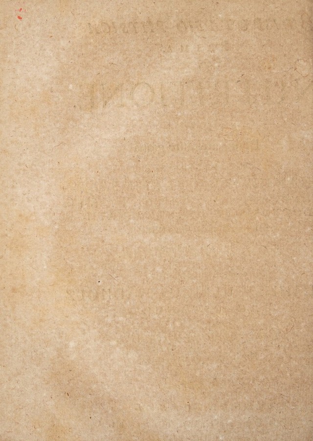 digitised image 2