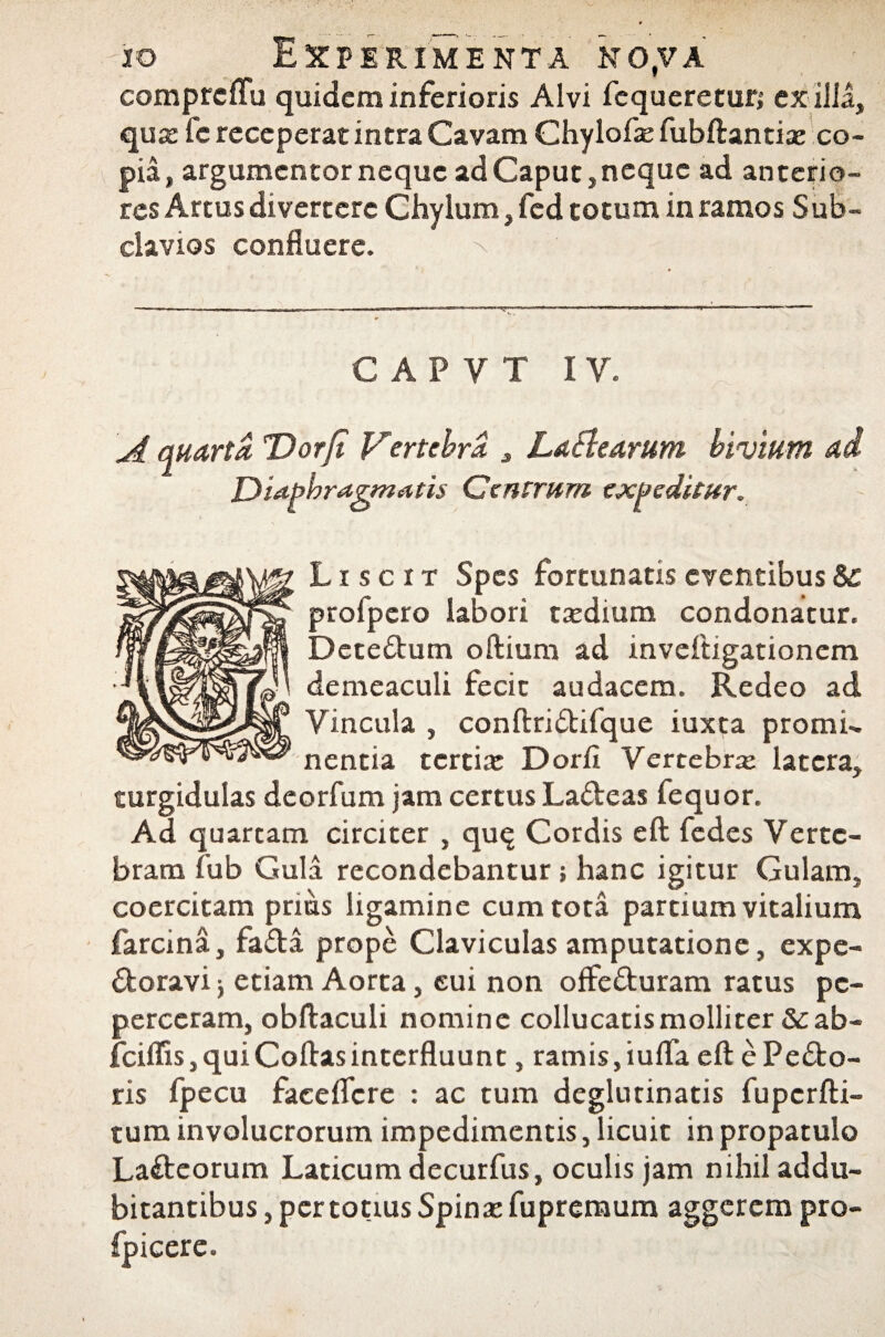 comprcffu quidem inferioris Alvi fequeretur; ex ilia, qux le receperat intra Cavam Chylofx fubftantiae co¬ pia, argumentor neque ad Caput,neque ad anterio¬ res Artus divertere Chylum, fcd totum in ramos Sub¬ clavios confluere. C A P V T I Y. A quarta 'Dorfi Vertebra , Latlearum bivium ad Diaphragmatis Centrum expeditur. L i s c i t Spes fortunatis eventibus Sc profpero labori taedium condonatur. Dete&um oftium ad mveftigationem demeaculi fecit audacem. Redeo ad Vincula , conftri&ifque iuxta promi¬ nentia tertix Dorfi Vertebra: latera, turgidulas deorfum jam certus Lacteas lequor. Ad quartam circiter , qu^ Cordis eft fedes Verte¬ bram fub Gula recondebantur j hanc igitur Gulam, coercitam prius ligamine cum tota parcium vitalium farcina, fa&a prope Claviculas amputatione, expe¬ dit oravi } etiam Aorta, cui non offedturam ratus pe¬ perceram, obftaculi nomine collucatis molliter Sc ab- fciffis,quiCoftasinterfluunt, ramis, iufla eft e Pelo¬ ris fpecu face fle re : ac tum deglutinatis fuperfti- tum involucrorum impedimentis, licuit in propatulo Lacteorum Laticum decurfus, oculis jam nihil addu¬ bitantibus , per totius Spinx fupremum aggerem pro- fpicere.