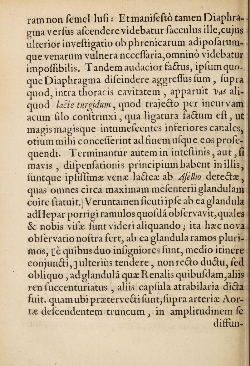 ram non femel lufi: Etmanifefto tamen Diaphra¬ gma verfus afcende re videbatur facculus ille,cujus ulterior inveftigatio ob phrenicarum adipofarum- que venarum vulnera neceflaria,omnino videbatur impoflibilis. Tandem audacior fa&us, ipfum quo- que Diaphragma difeindere aggrefliis fum, fupra quod, intra thoracis cavitatem , apparuit Vas ali¬ quod laSle turgidum, quod trajefio per incurvam acum filo conftrinxi, qua ligatura factum eft, ut magis magisque intumelcentes inferiores canales, otium mihi concefferint ad finem ufque eos profe- quendi. Terminantur autem in inteftinis, aut, fi mavis , dilpenfationis principium habent in illis, luntque ipfiffimae venae la&eae ab Jjettio dete&ae, quas omnes circa maximam mefenterii glandulam coire ftatuit.'; Veruntamen ficuti ipfe ab ea glandula adHepar porrigi ramulos quofdaobfervavit,quales & nobis vifiae funt videri aliquando ita haec nova obfervatio noftra fert, ab ea glandula ramos pluri¬ mos, Te quibus duo infigniores funt, medio itinere conjunfti,] ulterius tendere, non recto ductu, fed obliquo, ad glandula quae Renalis quibufdam,aliis ren fuccenturiatus , aliis caplula atrabilaria disfia fuit, quam ubi praeterve&i funt,liipra arteriae Aor¬ tae defcendentem truncum, in amplitudinem fe diffiin-