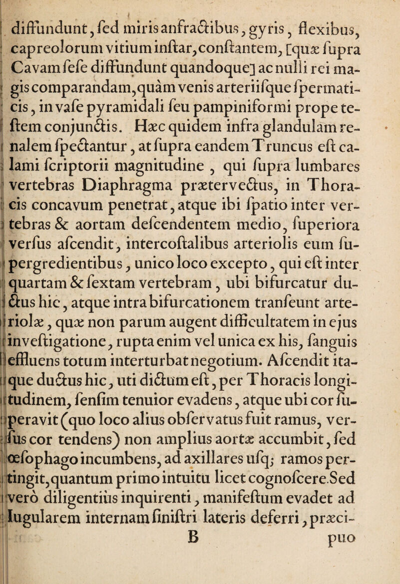 ! diffundunt, fed miris anfra&ibus, gyris, flexibus, capreolorum vitium inftar,conflantem, [qua: fupra Cavam fefe diffundunt quandoque] ac nulli rei ma- i gis comparandam,quam venis arteriifque fpermati- \ cis, in vafe pyramidali feu pampiniformi prope te- ftemconjun<ftis. Hsec quidem infra glandulam re- | nalem fpedantur, at fupra eandem Truncus eftca- ; lami fcriptorii magnitudine , qui fupra lumbares vertebras Diaphragma prxterve&us, in Thora¬ cis concavum penetrat, atque ibi fpatio inter ver- j tebras & aortam defcendentern medio, fuperiora verfus afcendit, intercoftalibus arteriolis eum fu- pergredientibus, unico loco excepto, qui eft inter quartam &fextam vertebram, ubi bifurcatur du- ij &us hic, atque intra bifurcationem tranfeunt arte- liriolse, quae non parum augent difficultatem in ejus tinveftigatione, rupta enim vel unica ex his, fanguis leffluens totum interturbatnegotium. Afcendit ita— •que du&us hic, uti di&um eft, per Thoracis longi¬ tudinem, fenfim tenuior evadens, atque ubi cor fu- : peravit (quo loco alius obfervatus fuit ramus, ver- fuscor tendens) non amplius aortae accumbit,fed oefophago incumbens, ad axillares ufq; ramos per- i tingit,quantum primo intuitu licet cognofcere.Sed i vero diligentius inquirenti, manifeftum evadet ad Lugularem internam finiftri lateris deferri, prseci- B puo