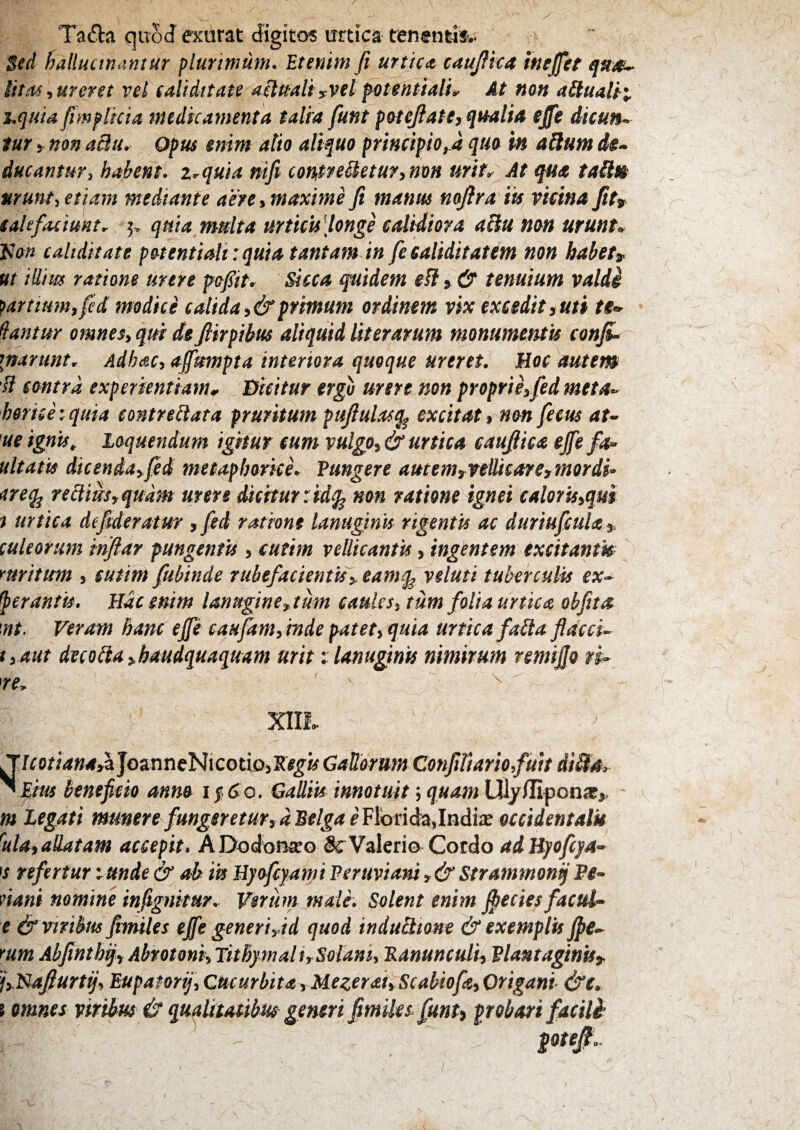 Taifla qiioJ exurat digitos mica tenentm^ Sed hallucinantur plurimum. Etenim fi urtica caujlka inejfet qn^ litas^ureret vel calidttate ailualiyvel potentialu At mn ailualti z.quia fimplicia medicamenta talia funt pc^tejl at ecqualia effe dicun-. tur 5 non aSu. Opus enim alio aliquo principiora qua m aUum ducantuT) habent, z.quia nifi contreMeturynon urit^ At qua taUn urunto etiam mediante aere y maxime fi manm nofira iu vicina fitv calefaciunt. 3, quia multa urticisHonge calidiora ailu non urunto fJan caliditate patentialitquia tantam in fecaliditatem non habeu ut illius ratione urere fofiit. Sicca quidem eSl^& tenuium valdl ^artiumyfid modice caliday&primum ordinem vix excedit^uti te^ fantur omnesy qui de fiirpihus aliquid literarum monumentis confio \mrunt. AdhMy affkmpta interiora quoque ureret. Hoc autem 'H contra experientiam^ Dicitur ergo urere mn proprieyfedmeta^ hericetquia contrellata pruritum pufiulasq^ excitat y non fecus at- 'ue ignis^ loquendum igitur cum vulgOy & urtica caufiica ejfe fa^ ultaw iiceniayfed metaphoricL Fungere autem^veUicare^mordi* dreq^ reciiiisyqudm urere dicitur:idq^ non ratione ignei calorisyqm i urtica defideratur ,fed ratione lanuginis rigentu ac durtufcuU^ culeorum mflar pungentis, cufim vellicantis, ingentem txcitantk yurttum y cuttm fubinde rubefacientisy, eam^ veluti tuberculis ex- fer antis. Hac enim lanugine^tum caule Sy tum folia urtica obfita \nt. Veram hanc eJfe caufanh inde patety quia urtica faila flacci- tyAUt decolay.baudquaquam urit: lanuginis nimirum remifio r$^ re. XIIL JoanneNicotio^ Gallorum Confiliariofuit di&a. ^Eius beneficio anno ifSo, Galliis innotuit 5 quam Uly/Tipona?,. m legati munere fungeretury dBelga eFXoni^iylndix occidentalk ^Uy allatam accepit. ADodona^o ScValerio^ Cordo adHpofcja-^ IS refertur t unde & ah iis Uyofcfami Feruviani ^& Strammonq Fe- nani nomine infignkur. Verum mde. Solent enim Jf edes facul- e & ynribus fimiles ejfe generiy id quod induBione & exemplis Jpe- mm Abfinthqy Abrotoniy lithymalirSolanh Fanunculh Flant aginis^ jyNafiurtijy EupatorijyCucurbitayMezcraiyScabiofoyOrigani &e. i omnes virihus & qualttaubm generi fimiles^ funh probari facili