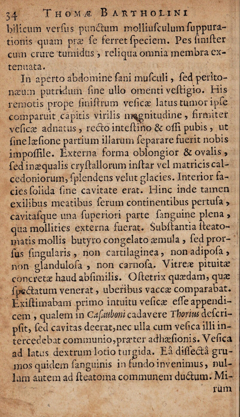 bilicum verfus pundum molliufculumfuppura- tionts quam prce fe terret fpeciem. Pes fimfter cum crure ‘tumidas;, reliqua omnia membra ex¬ tenuata. Jn aperto abdomine fani mufciili, fed perito- nceum putridum fine ullo omenti veftigio. His remotis prope finiftrum veficx latus tumor ipfe companiit,capitis virilis magnitudine, firmiter veficae adnatus , redo inteftiftp & offi pubis , ut finelcefione partium illarum feparare fuerit nobis impoflile. Externa forma oblongior & ovalis, fed inaequalis cryftallorum inftar vel matricis cal- cedoniorum,fplendens velut glacies. Interior fa¬ cies folida fine cavitate erat. Hinc inde tamen exilibus meatibus ferum continentibus pertufa , cavitafque una fupenori parte fanguine plena , qua mollities externa fuerat. Subftantia iteato- matis mollis butyro congelato cernula , fed pror- ’.f fus lingularis, non cartilaginea? nonadipofa, non glandulofa , non carnofa. Vitreae pituita; concretae haud abfimilis. Oftetrix qucedam, qua* fpedaturn veneratuberibus vaccce comparabat. Exiftimabam primo intuitu veficce effe appendi¬ cem 9 qualem in Cafauboni cadavere Thorius deferi- pfitj fed cavitas deerat,nec ulla cum vefica illi in¬ tercedebat communio, prerter adheefionis. Vefica ad latus dextrum lotio turgida. Ea diffeda gru¬ mos equidem fanguinis in fundo invenimus, nul¬ lam autem ad fteatoma communem du&um. Mi¬ rum