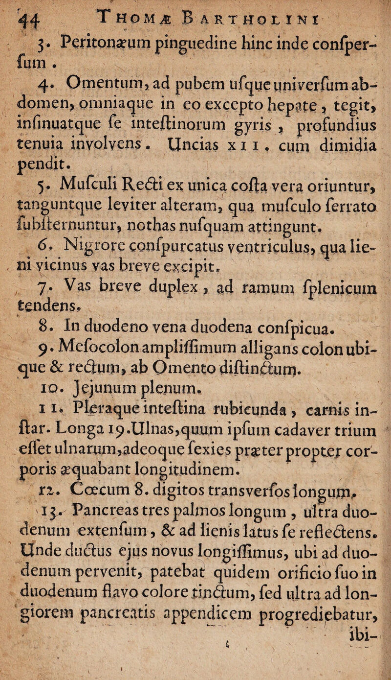 3. Peritoneum pinguedine hinc inde confper- fum . 4. Omentum, ad pubem ufque univerfum ab¬ domen, omniaque in eo excepto hepate , tegit, infinuatque fe inteftinorum gyris , profundius tenuia involvens . Uncias x 11. cum dimidia pendit. 5. Mufculi Redi ex unica cofta vera oriuntur, tanguntque leviter alteram, qua mufculo ferrato fubilernuntur, nothas nufquam attingunt. 6. Nigrore confpurcatus ventriculus, qua lie¬ ni vicinus vas breve excipit. 7. Vas breve duplex, ad ramum fplenicum tendens. 8. In duodeno vena duodena confpicua. 9. Mefocolon ampliflimum alligans colon ubi¬ que & redum, ab Omento diftindum. 10. J ej unu m plenu m. 11. Pleraqueinteftina rubicunda, carnis in- ftar. Longa i9.Ulnas,quum ipfum cadaver trium effet ulnarum,adeoque fexies praeter propter cor¬ poris aequabant longitudinem. rz. Coecum 8. digitos transverfos longum, ' 13. Pancreas tres palmos longum , ultra duo¬ denum extenfum , & ad lienis latus fe refledens. Unde dudus ejus novus longiflimus, ubi ad duo¬ denum pervenit, patebat quidem orificio fuo in duodenum flavo colore tindum, fed ultra ad lon¬ giorem pancreatis appendicem progrediebatur, \ 1